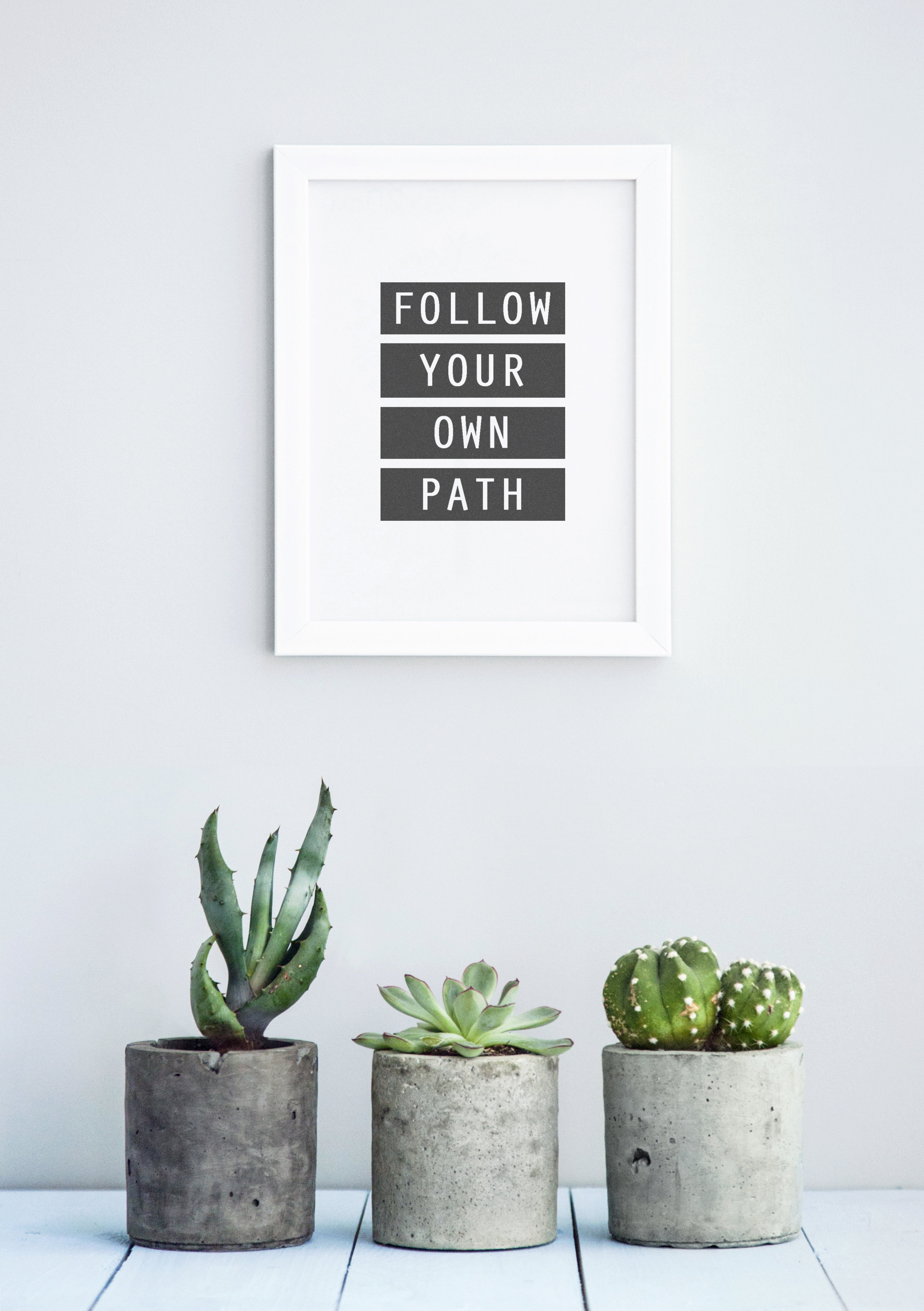 AdobeStock_74262162.jpeg