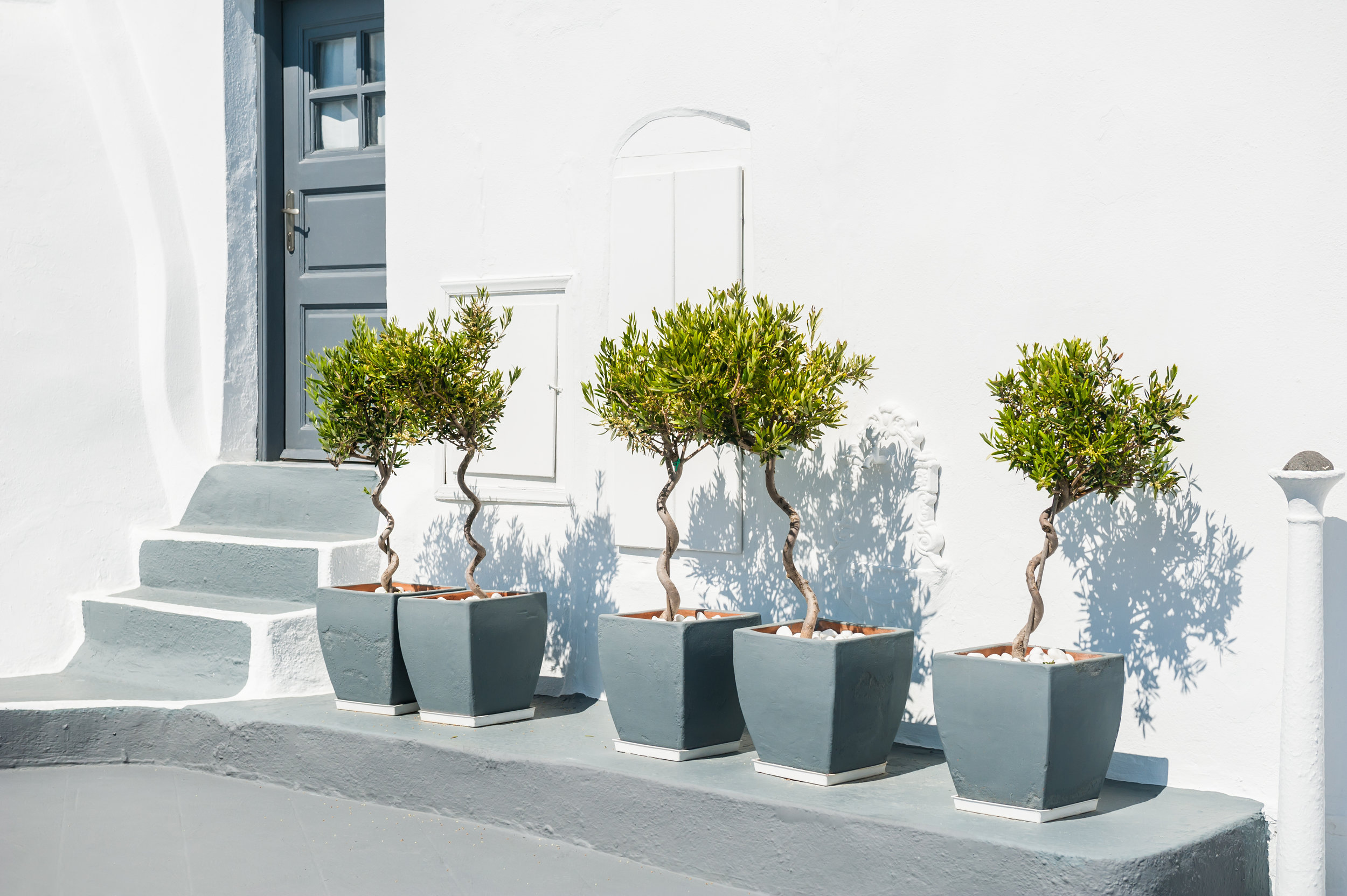 AdobeStock_79346389.jpeg