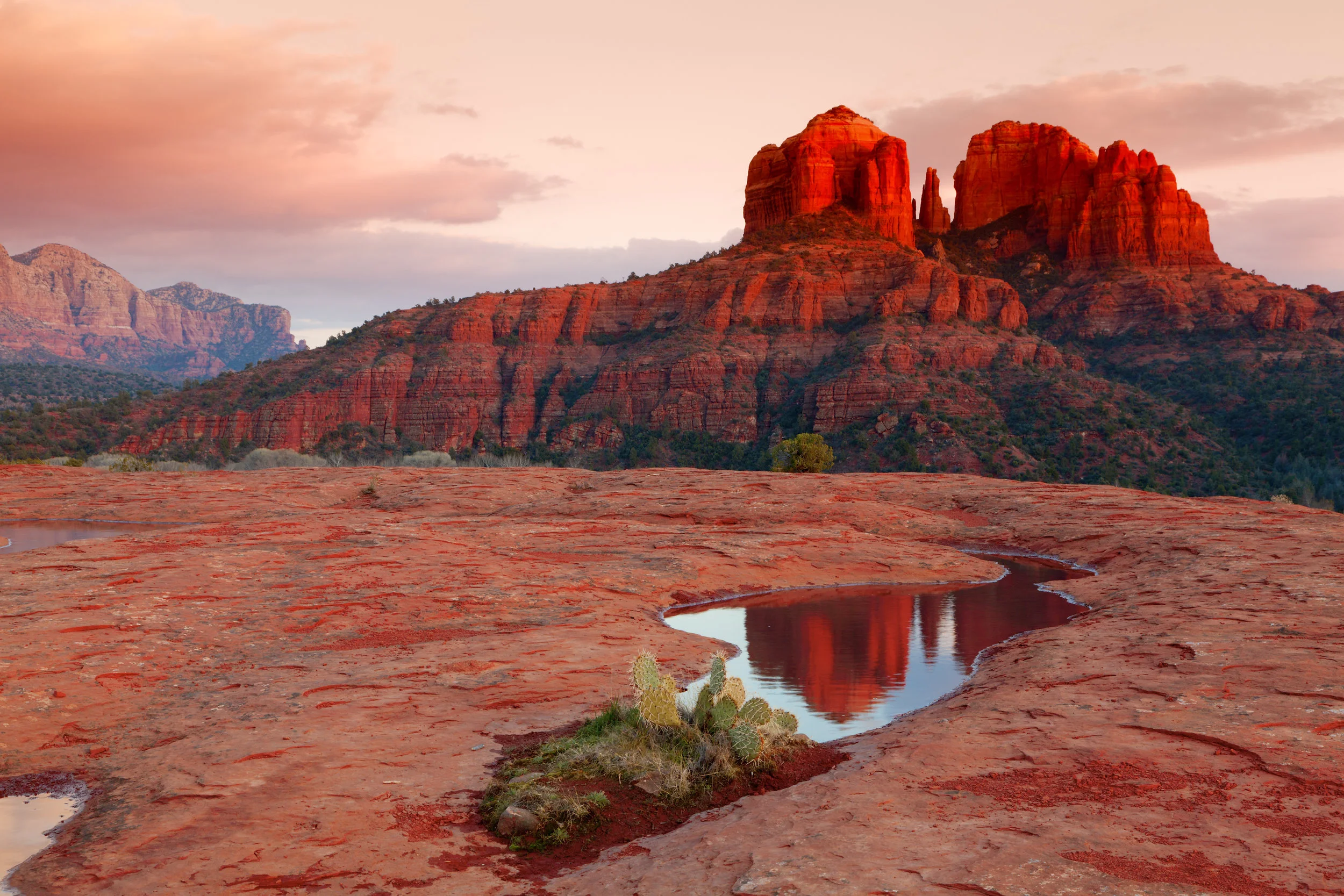 AdobeStock_34577153.jpeg