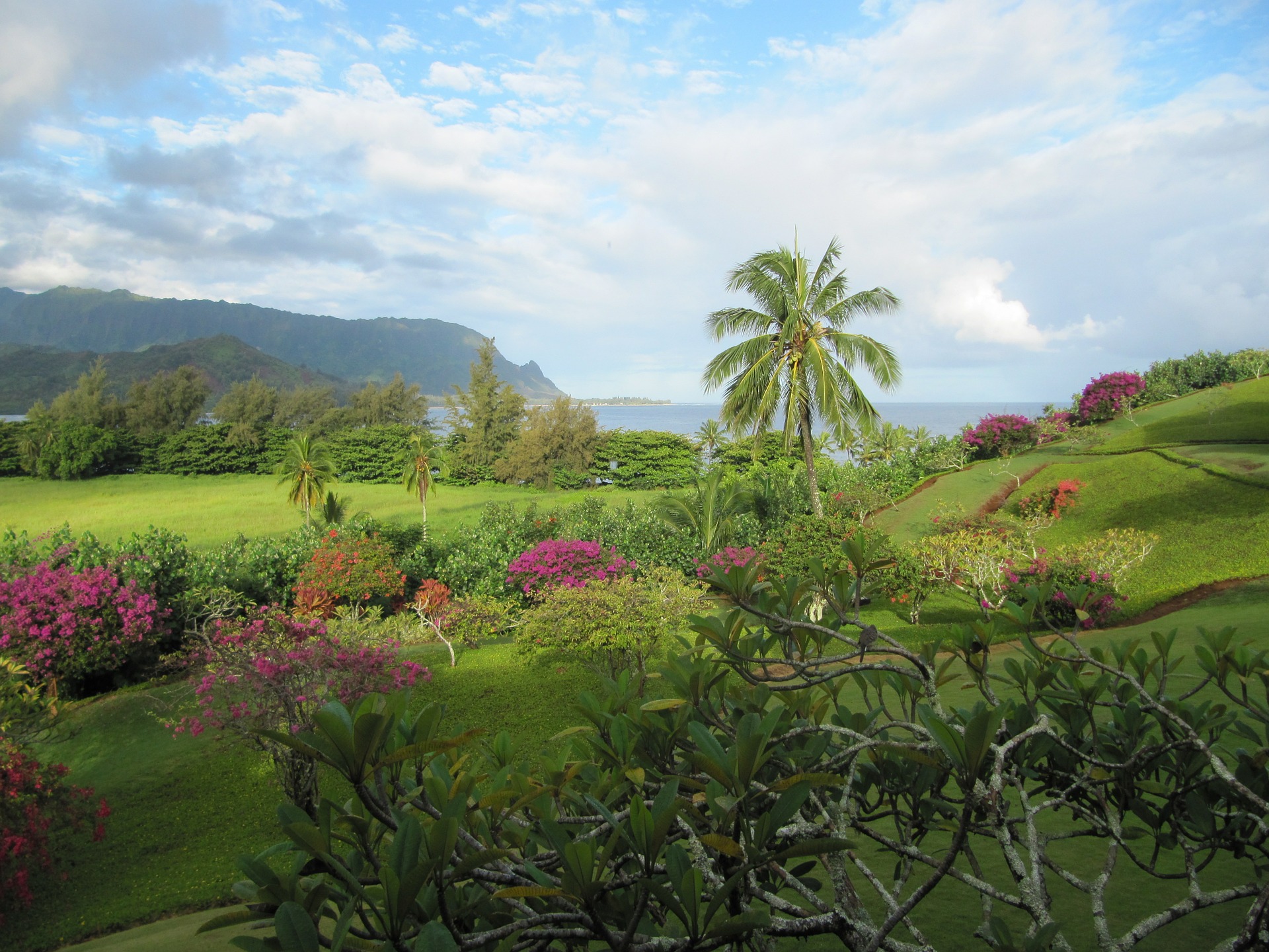 kauai-598534_1920.jpg