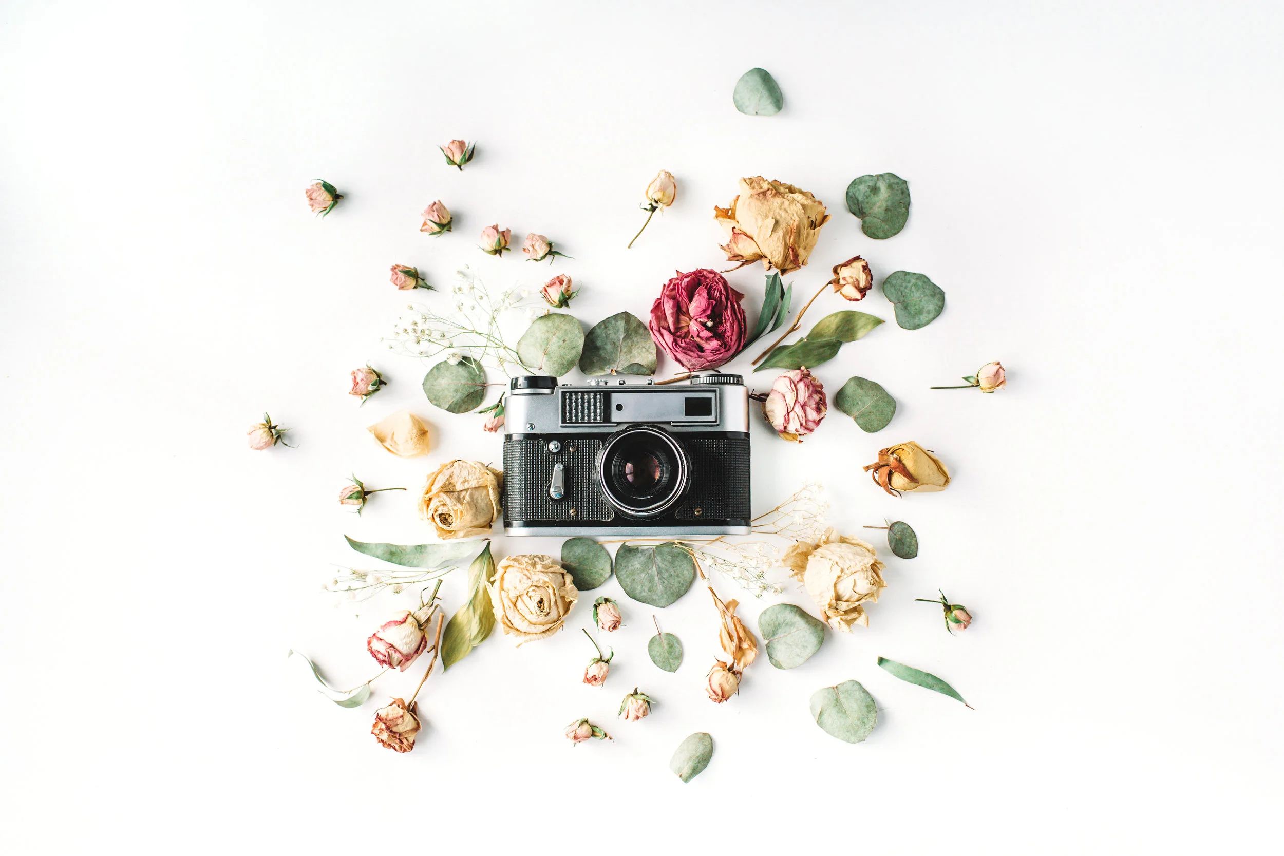 AdobeStock_134560836.jpeg