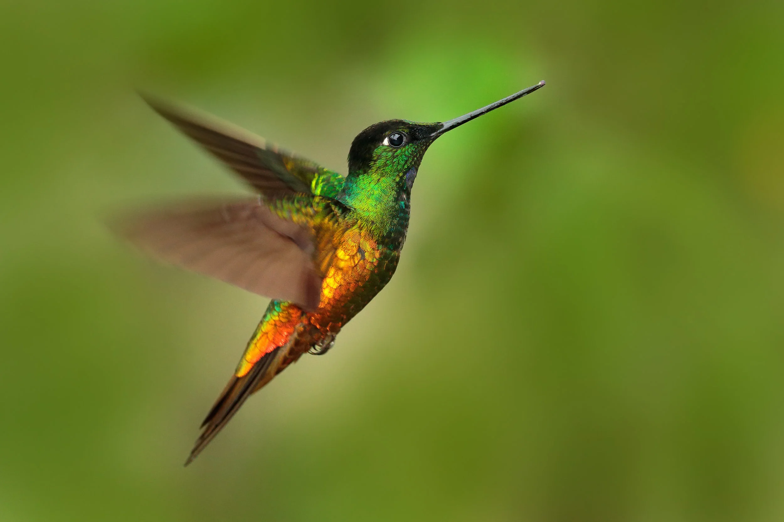 AdobeStock_127903373.jpeg