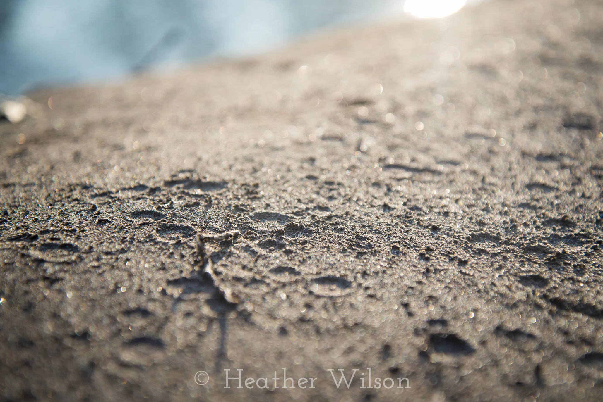 After the Rain
