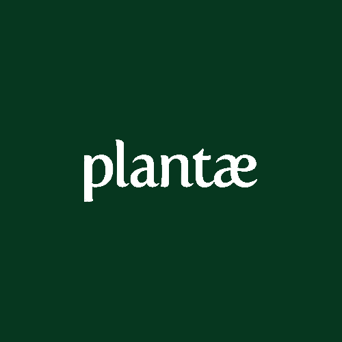 plantae.png