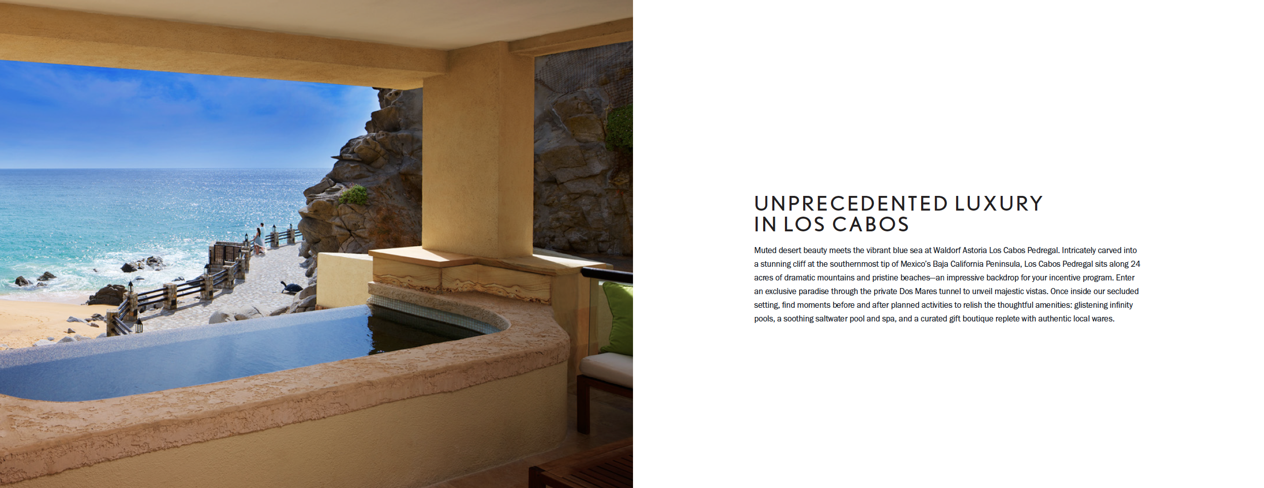 Screen Shot 2020-01-24 at 10.44.36 AM.png