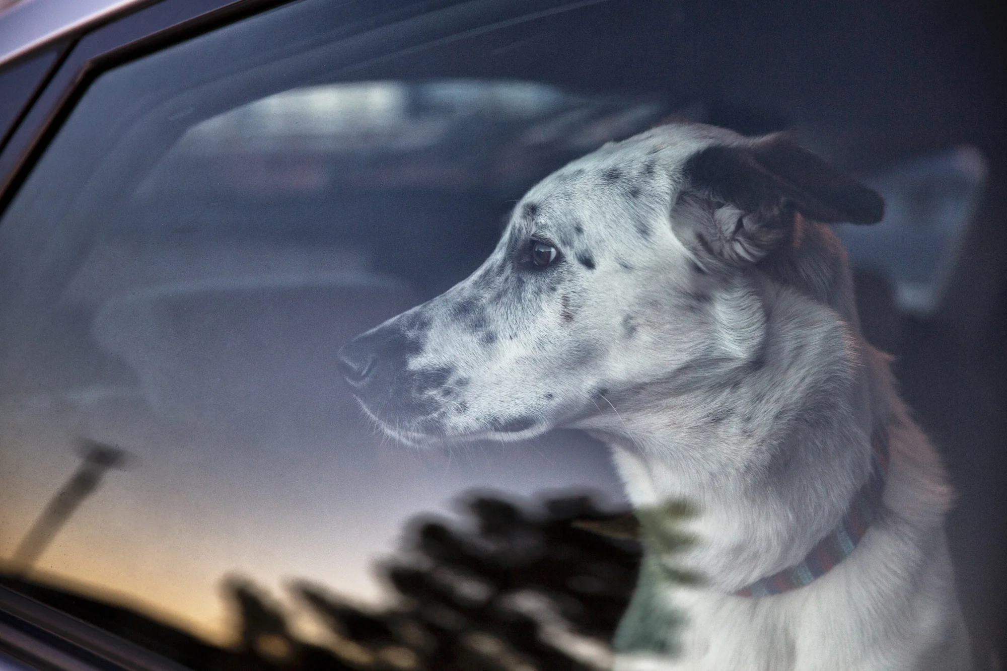 _Reportage_USA_NewMexico0417_JFB_MG_9734s.jpg
