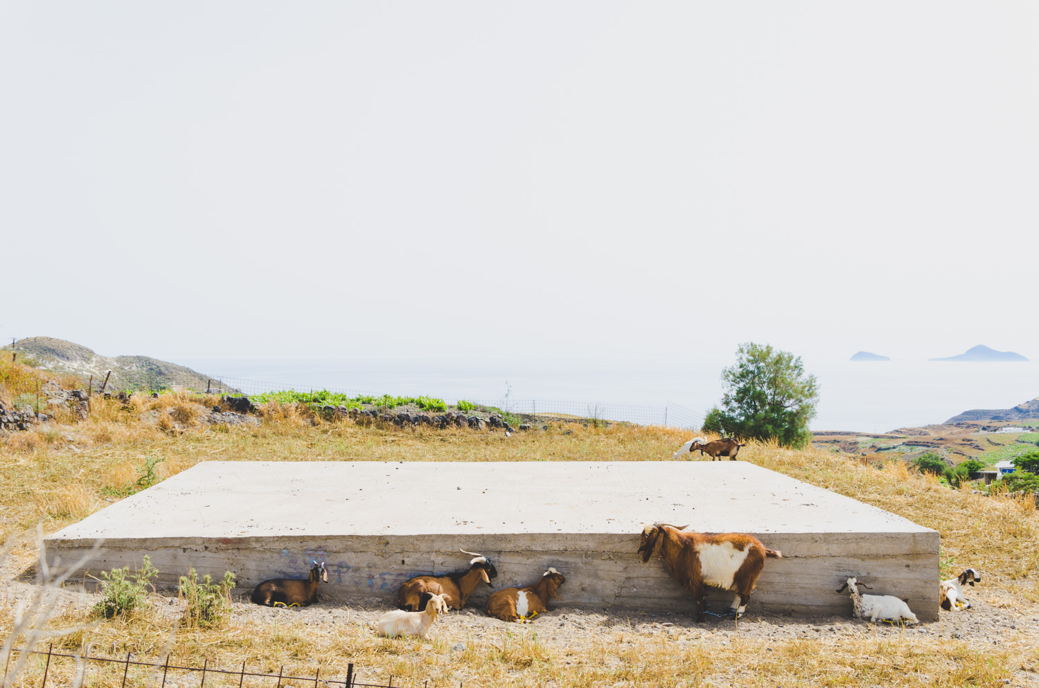 CatherineSandersonPhotography_Santorini-5.jpg