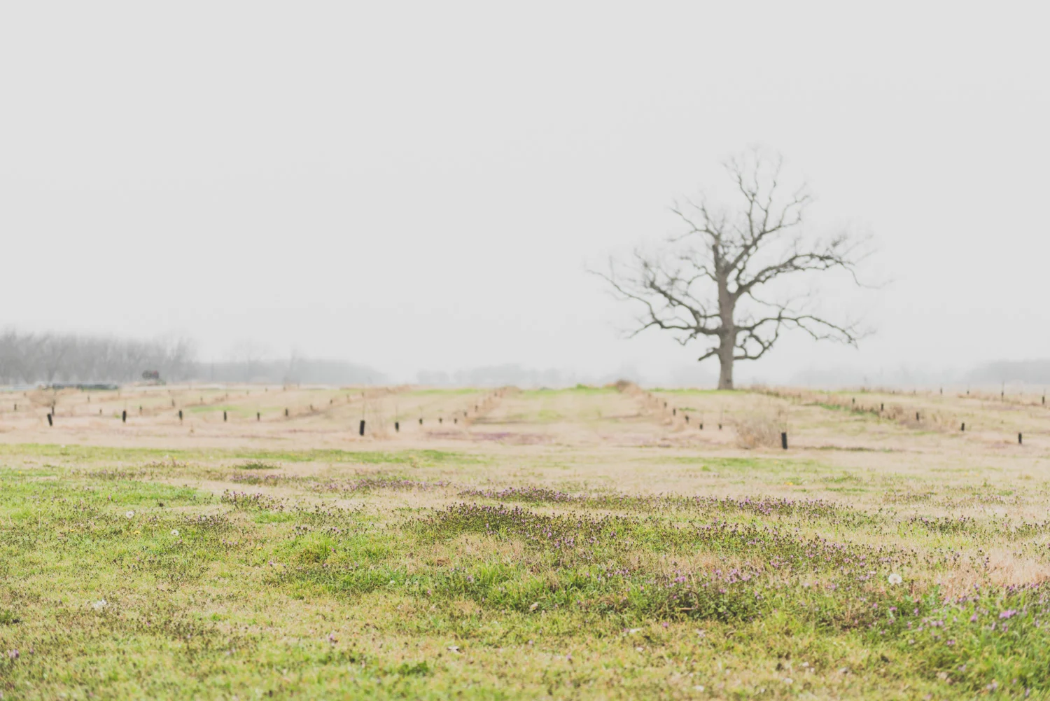 CatherineSandersonPhotography_AustinTX_AONewborn-1.jpg