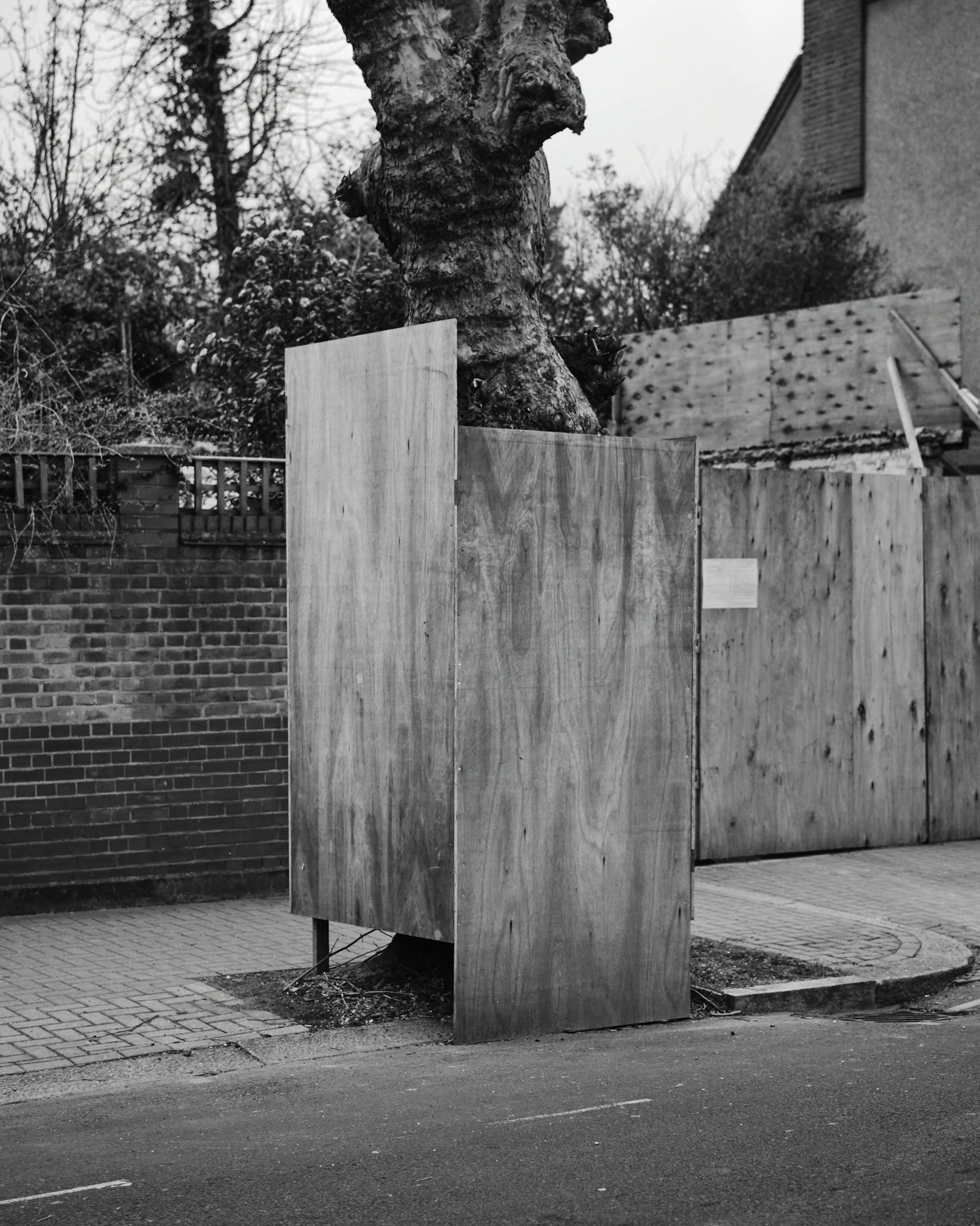 DSCF7669_V1.jpeg