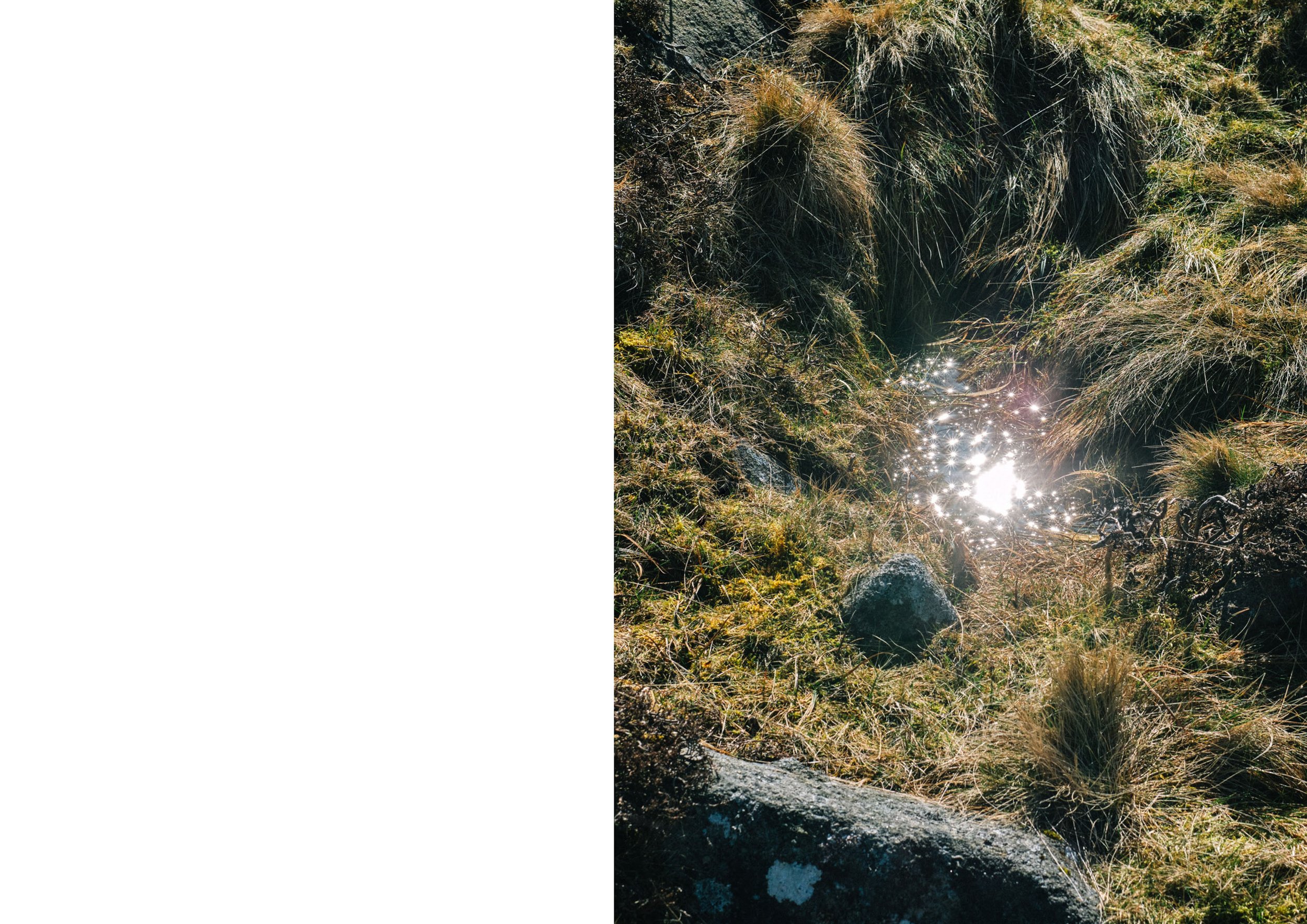 Leave_no_trace_0112.jpeg