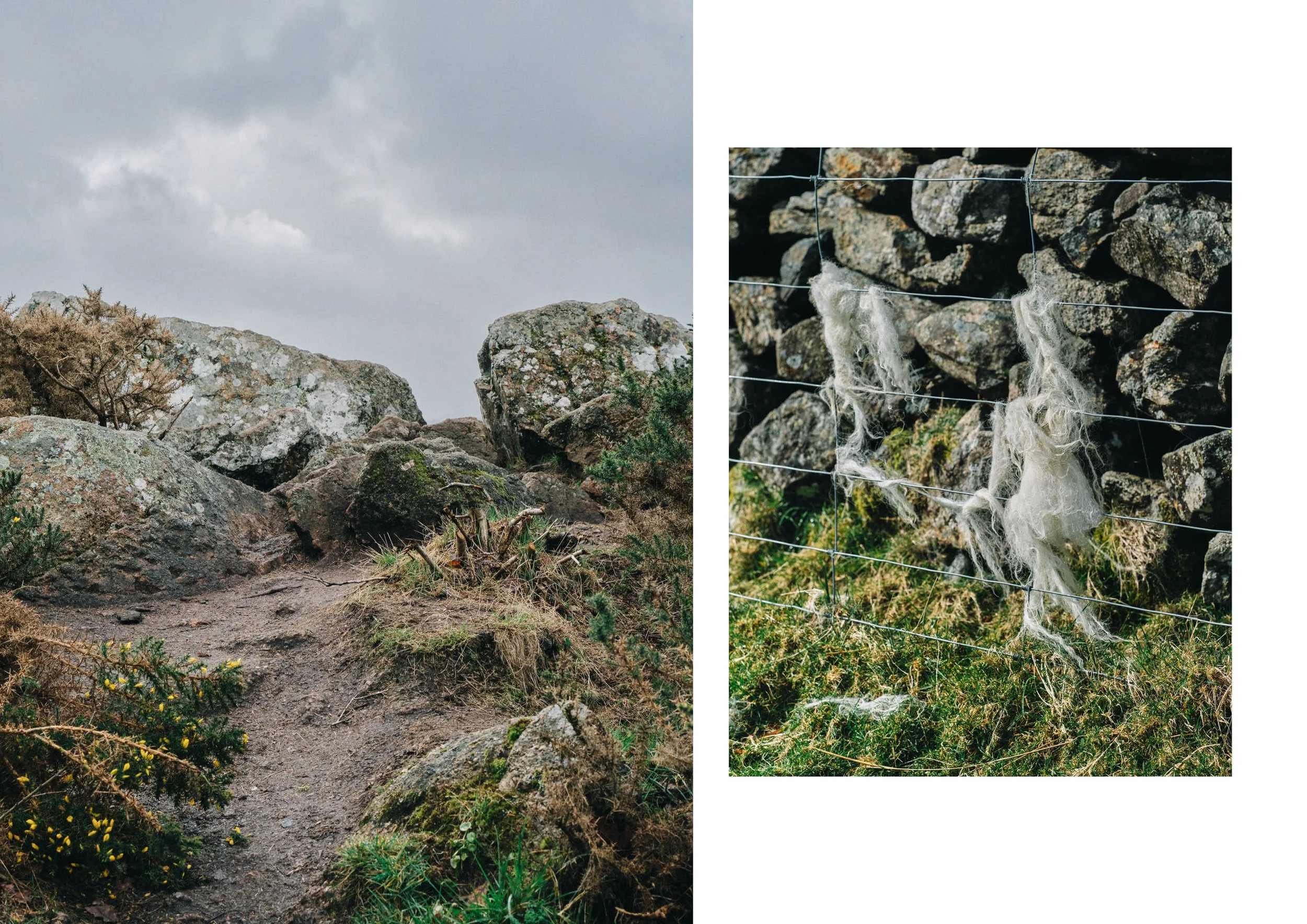 Leave_no_trace_0113.jpeg