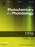 Journal of Photochemistry and Photobiology B: Biology
