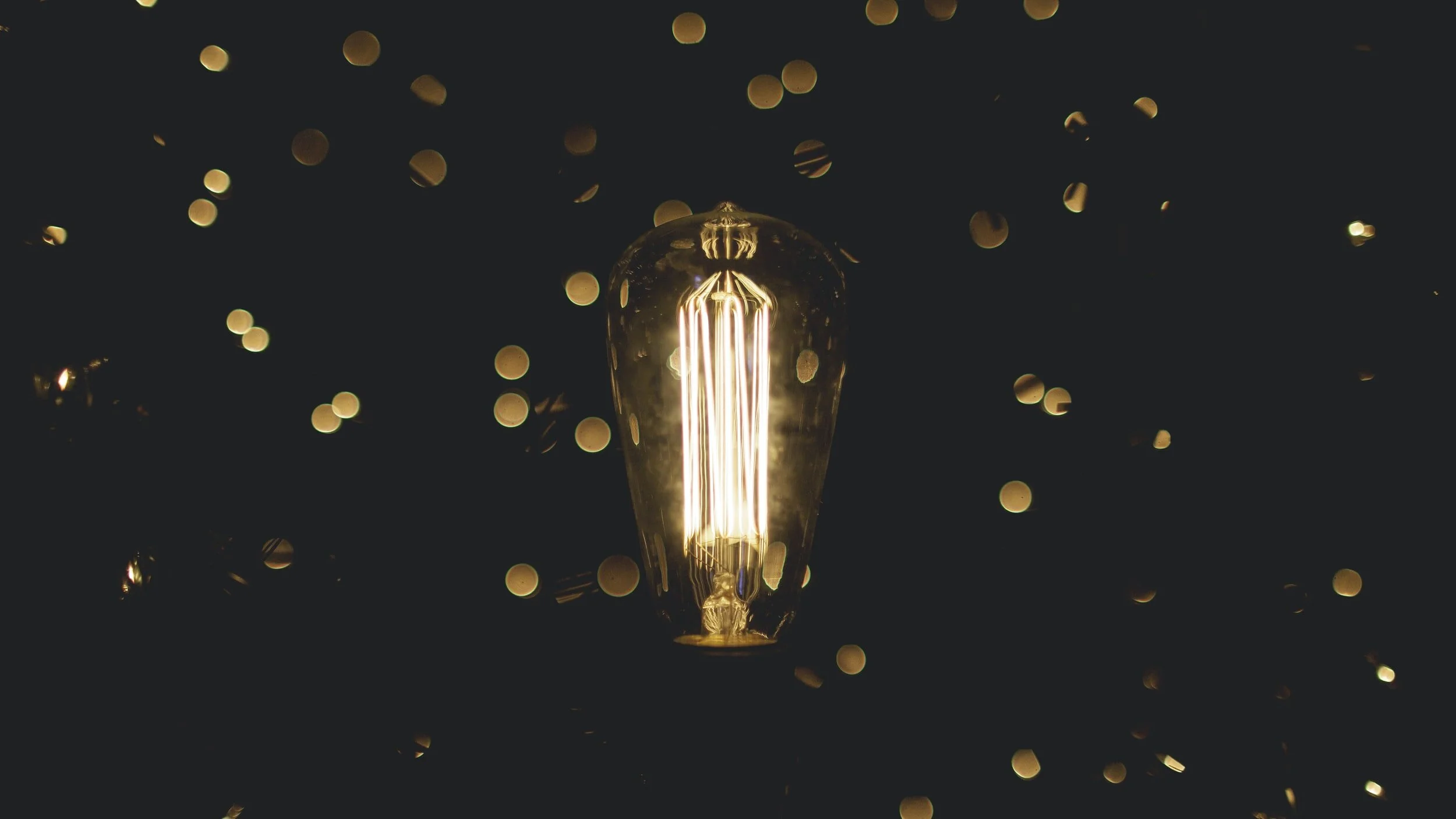 unsplash-image-qAriosuB-lY.jpg