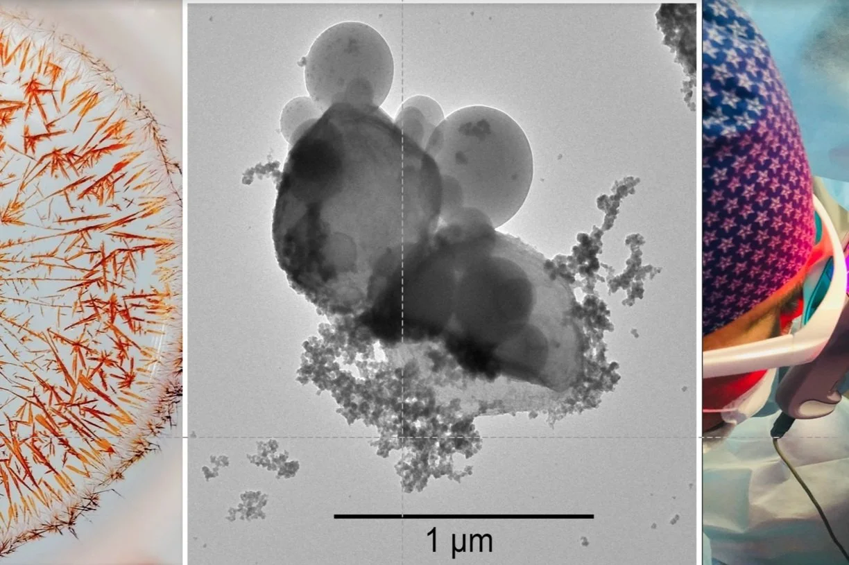 IPA 2021 Photogenic Science Contest Winners