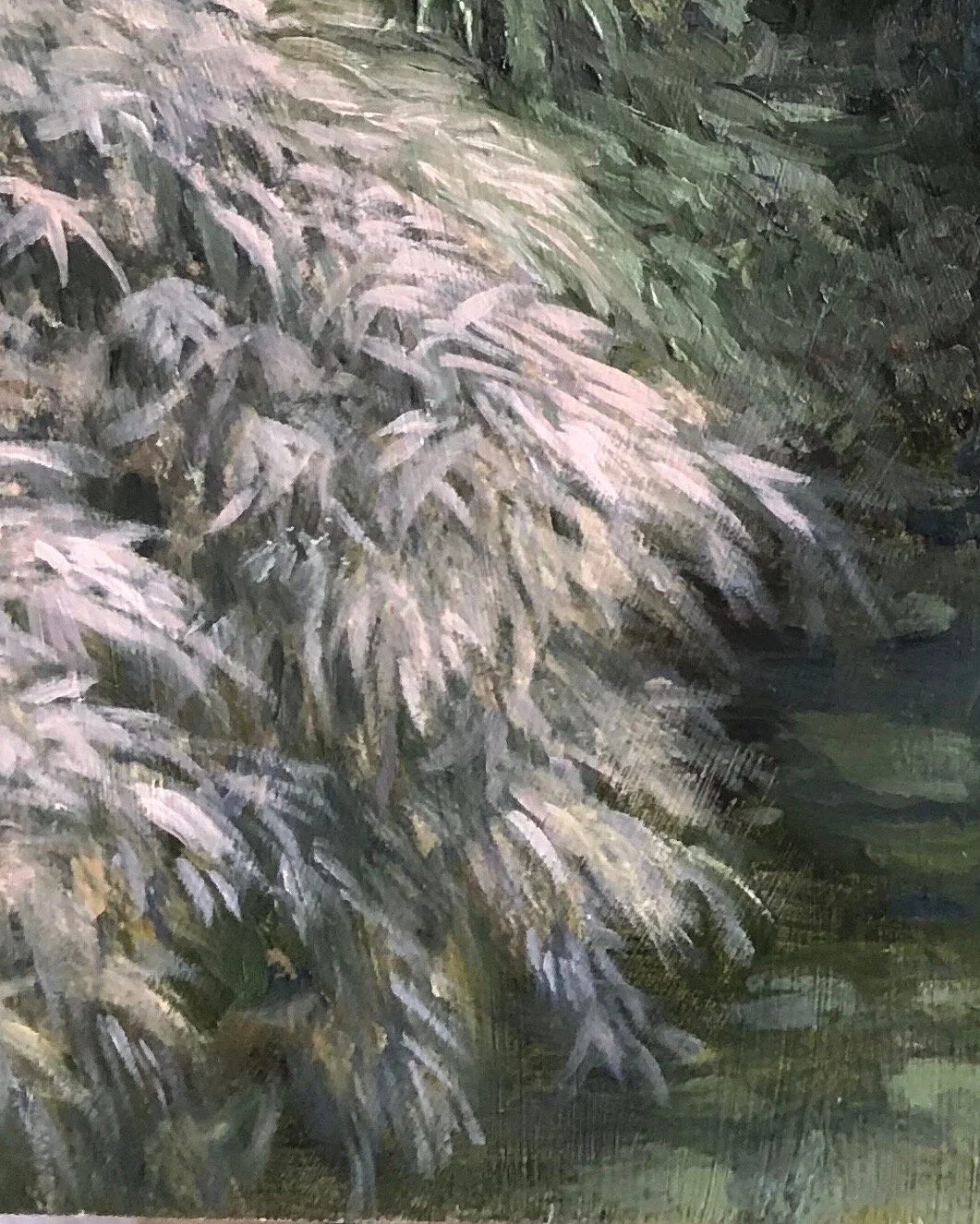 Red Bridge plant crop.jpeg