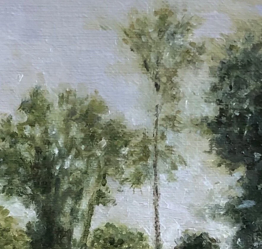 Georgia Landscape tree crop.jpeg
