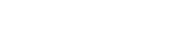 Gladiator Consulting LLC