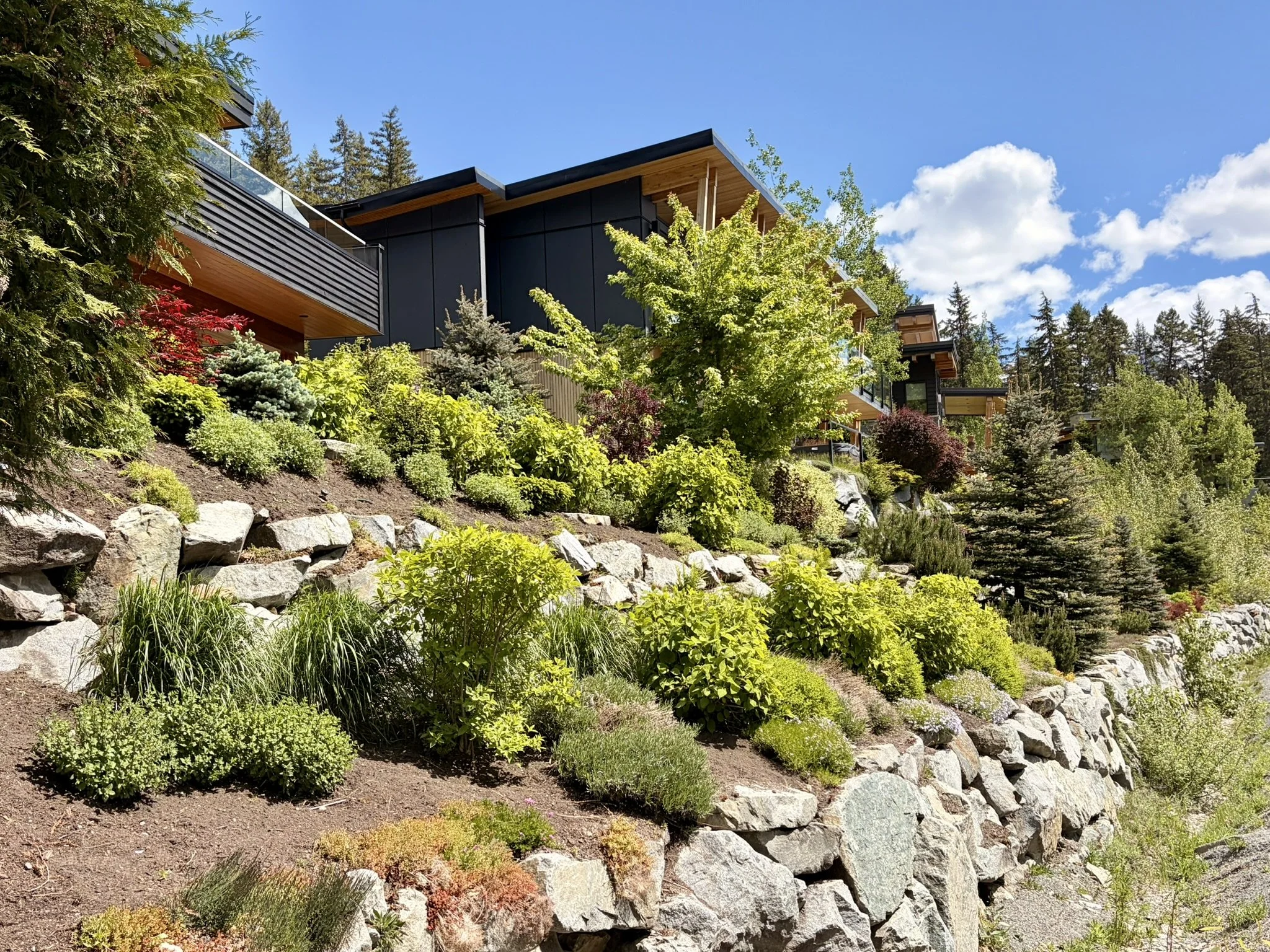 Modern house with black exterior walls, wooden overhangs, and large glass balconies, surrounded by lush green trees and landscaped garden on a sunny day.