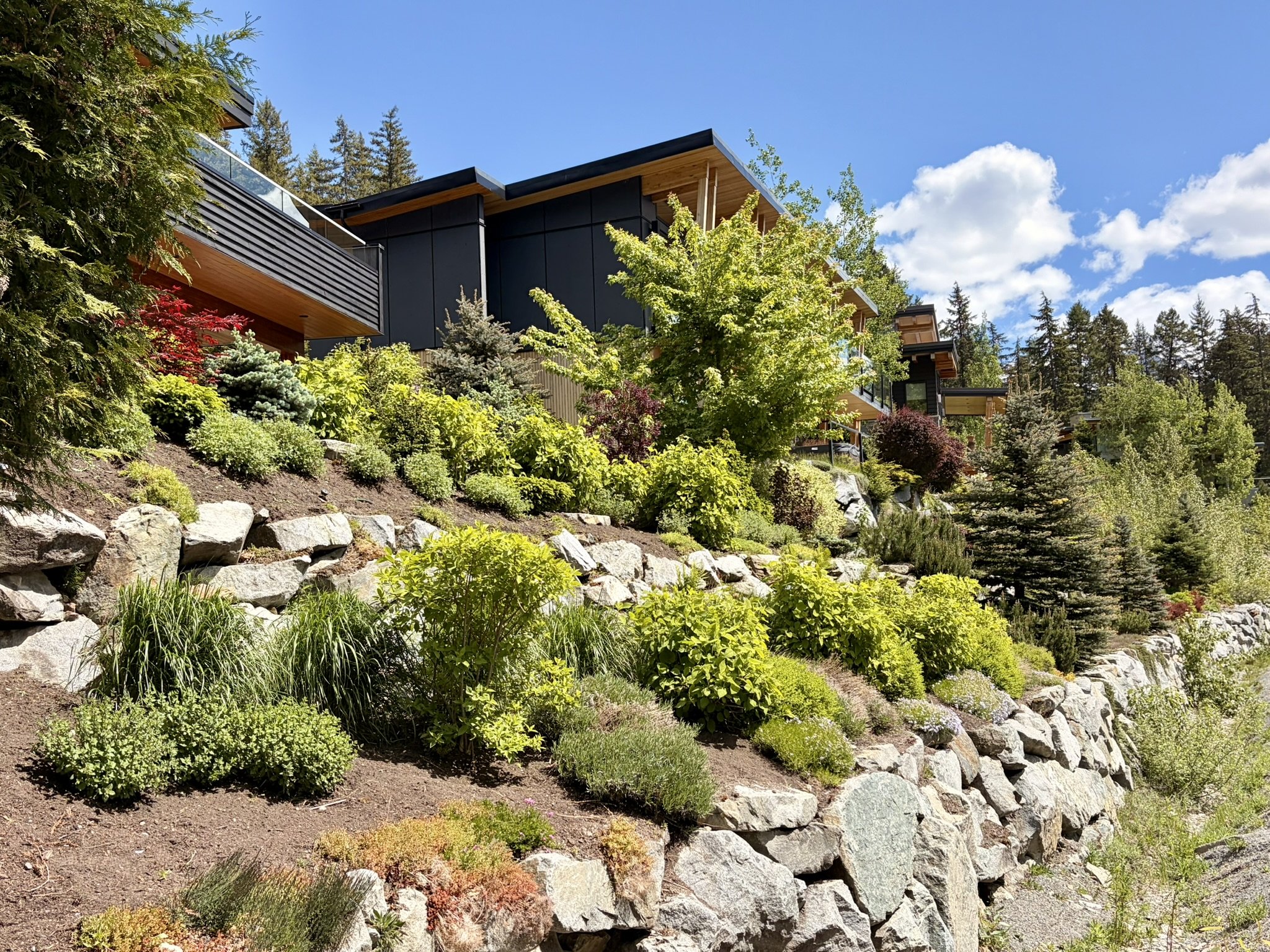 Modern house with large glass balconies, dark exterior walls, and wooden accents, surrounded by lush greenery and trees, under a bright blue sky with scattered white clouds.