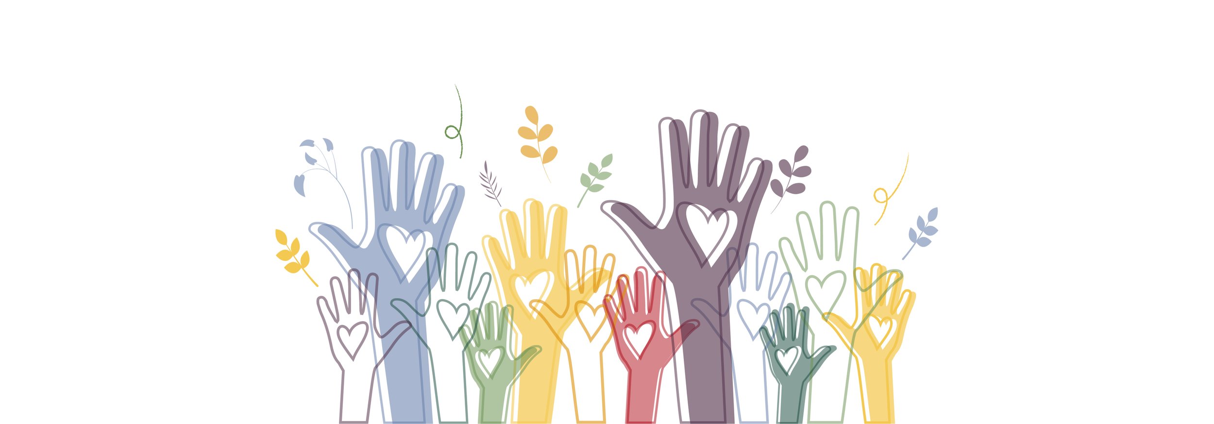 Heal it Forward: Sunshine Division Volunteer Event