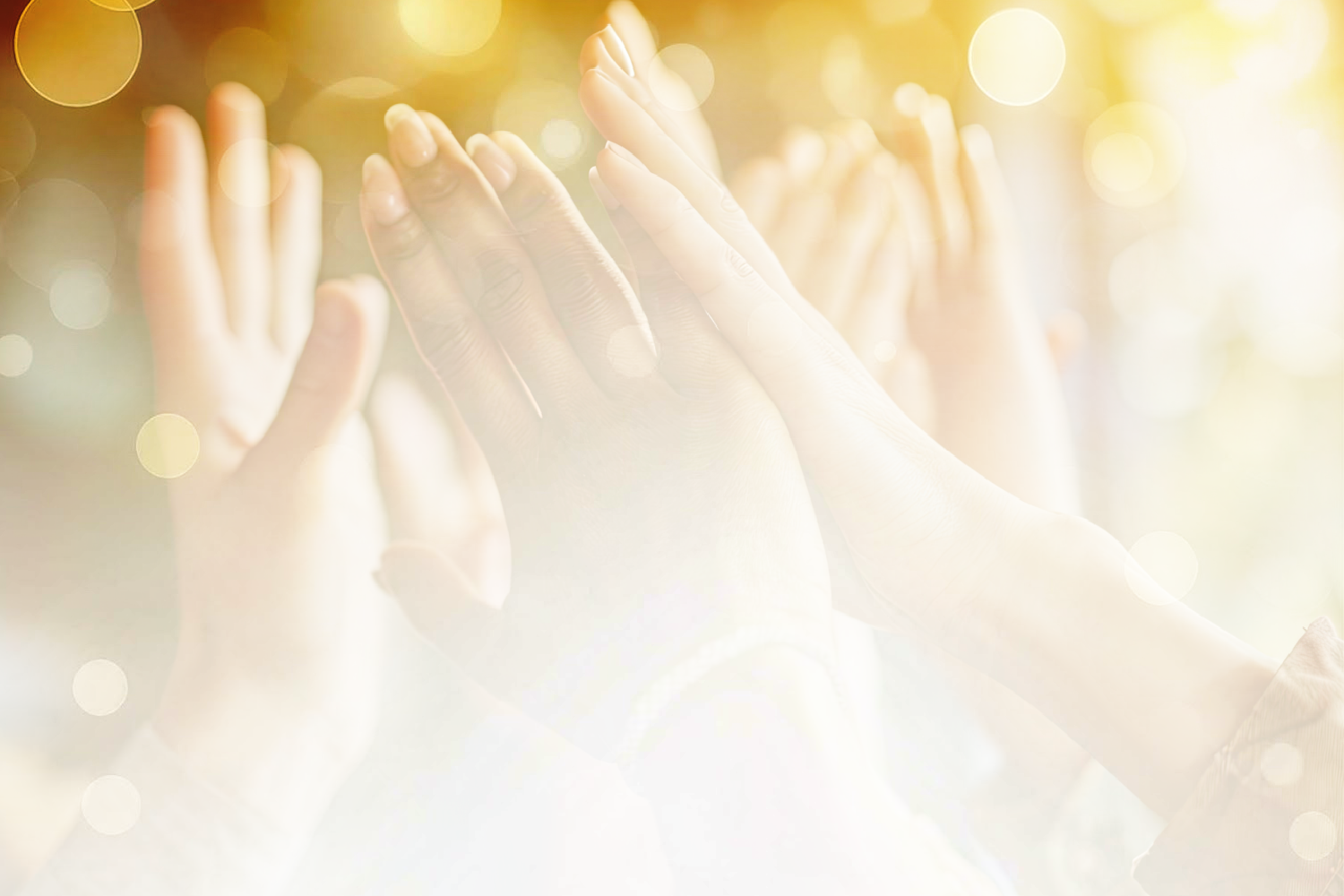 Women's Wellness Event