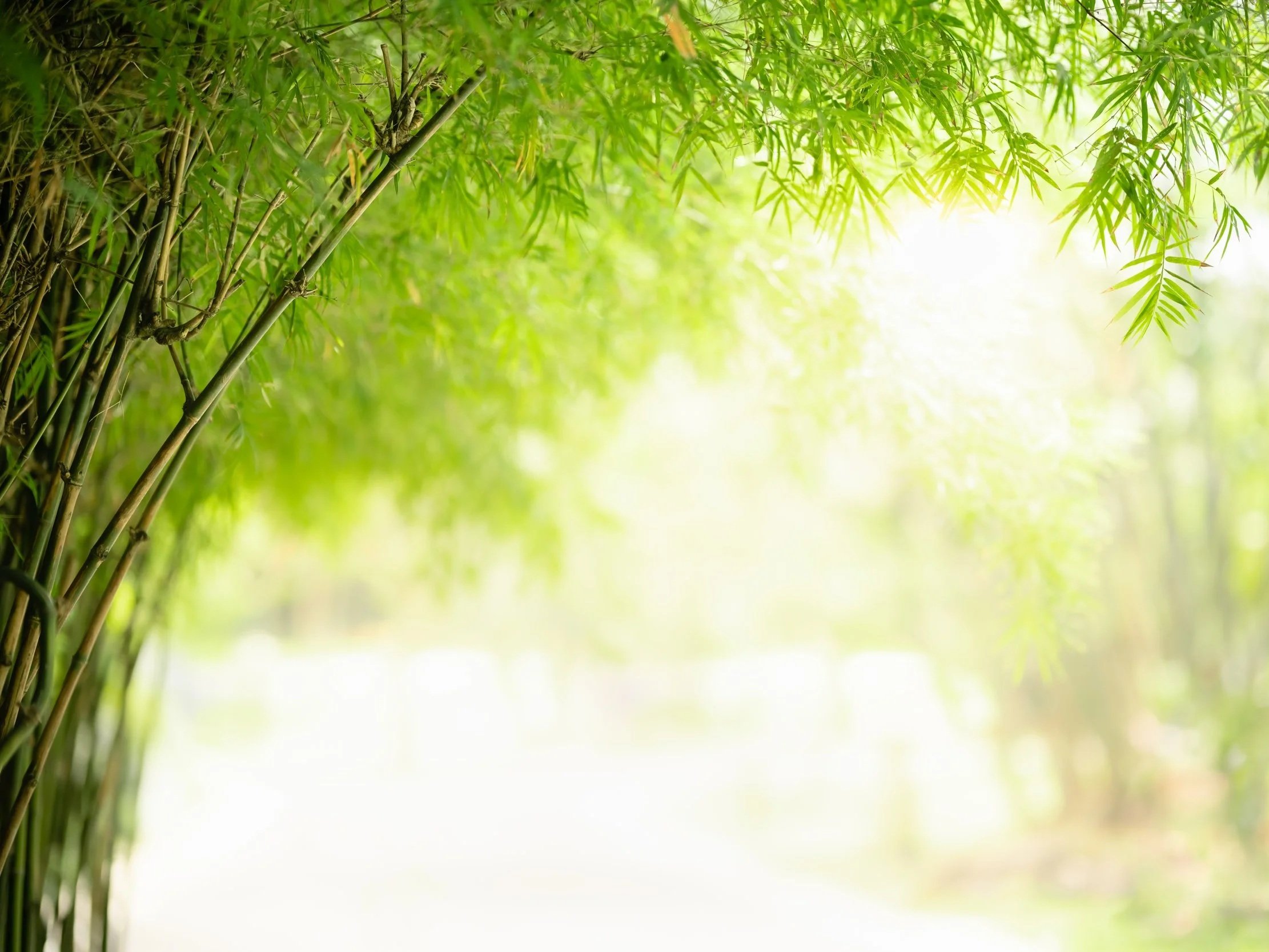  BARRE . M 5:30p, West Portland. Level: Beginner-Friendly, Intermediate. Barre blends a variety of low-impact movements with high repetition to promote balance, mobility, and strength.