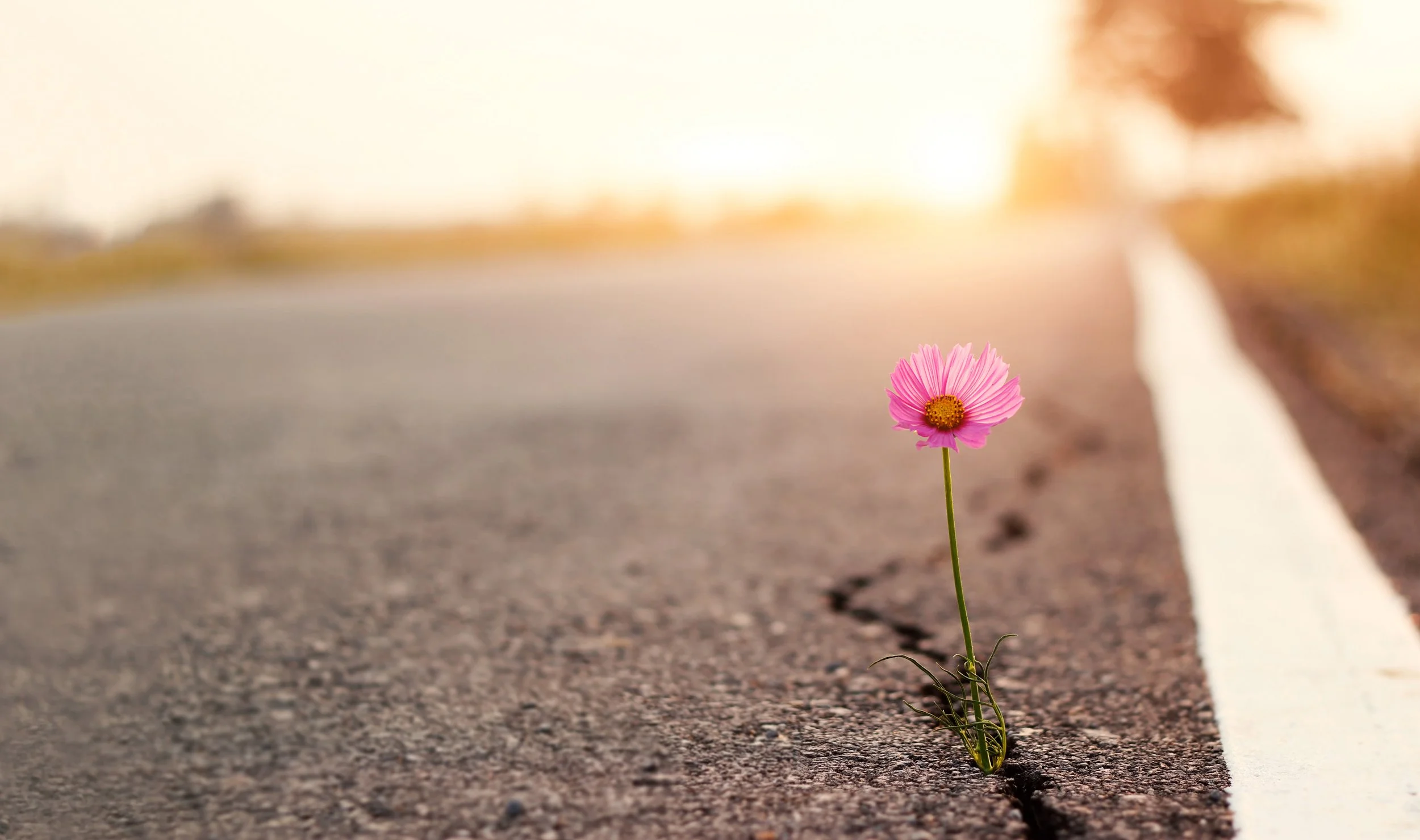 I WILL: Inspire Others