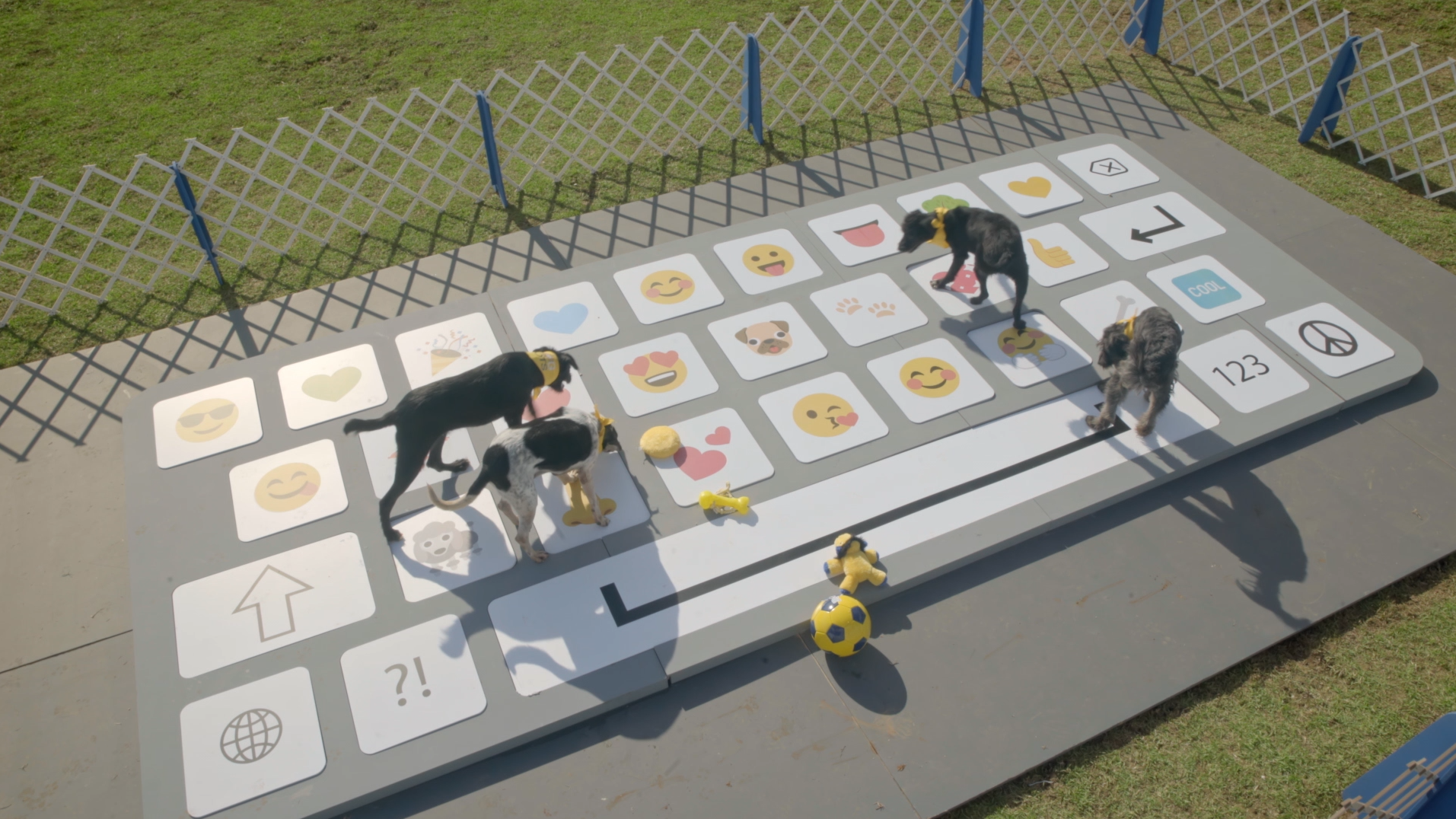Pedigree - Dog Bots