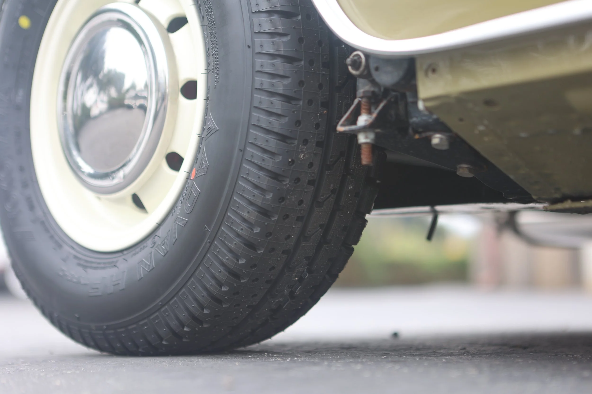 -#88 Pistachio (Brianne?)  - 30 of 31.jpeg