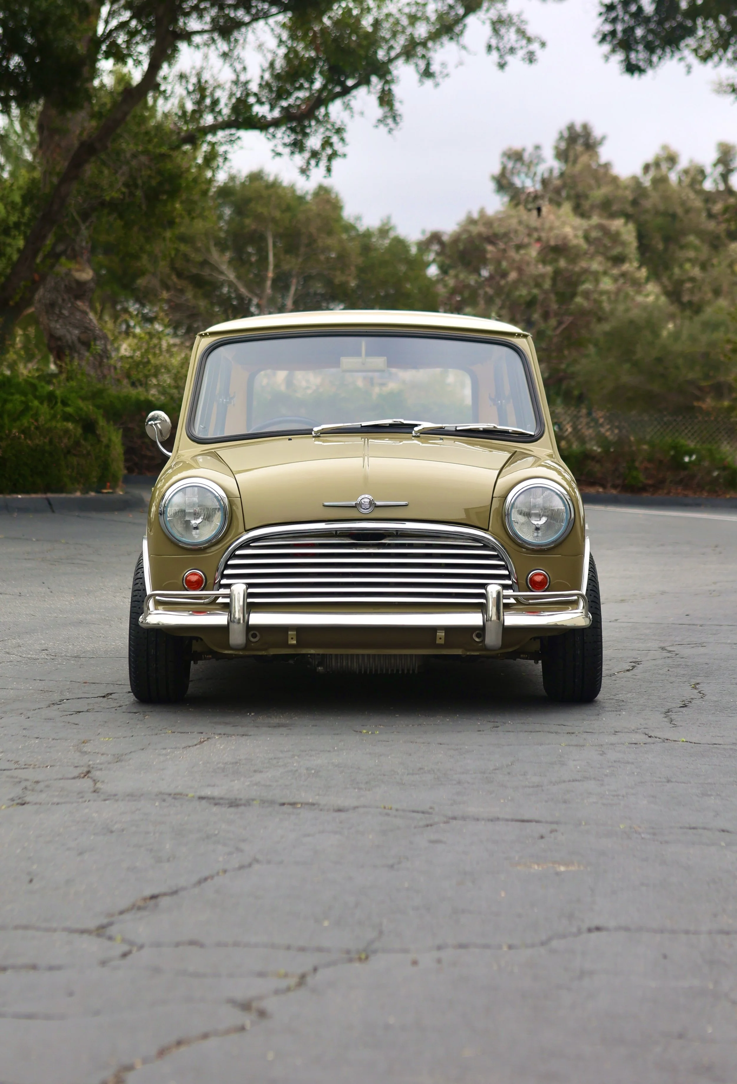 -#88 Pistachio (Brianne?)  - 3 of 31.jpeg