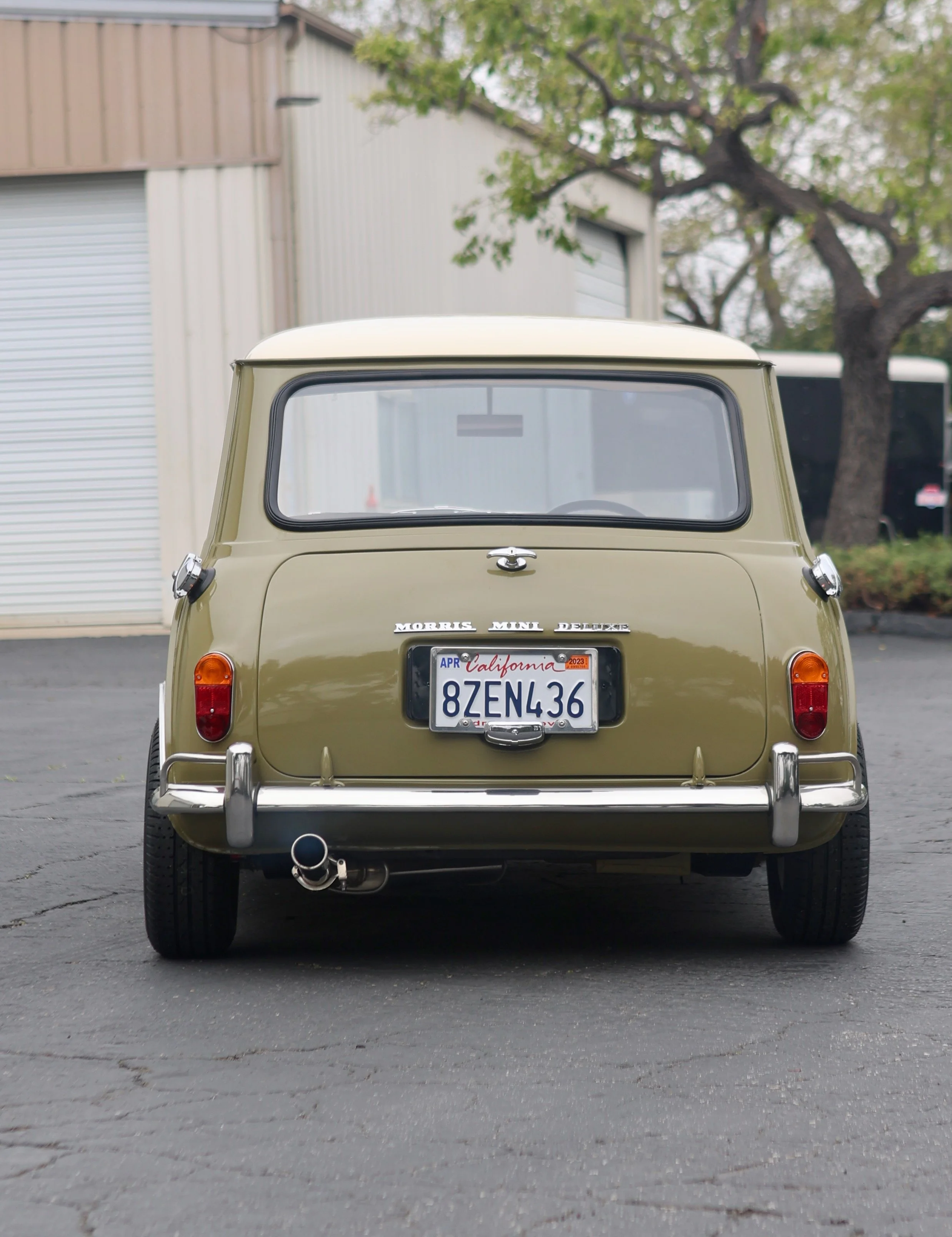 -#88 Pistachio (Brianne?)  - 12 of 31.jpeg