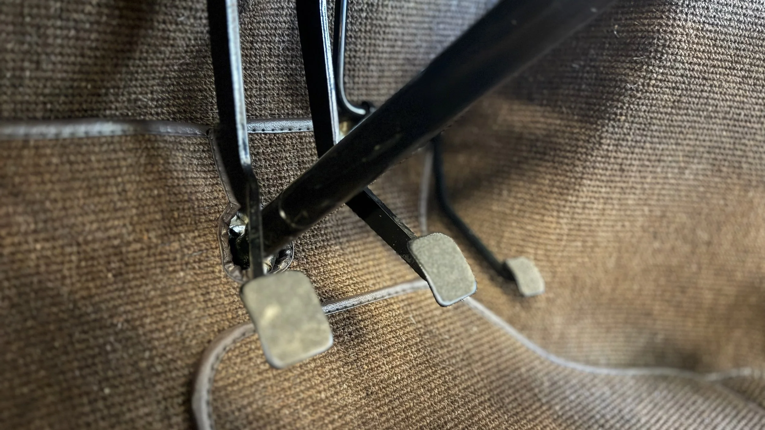 -#88 Pistachio (Brianne?)  - 6 of 7.jpeg