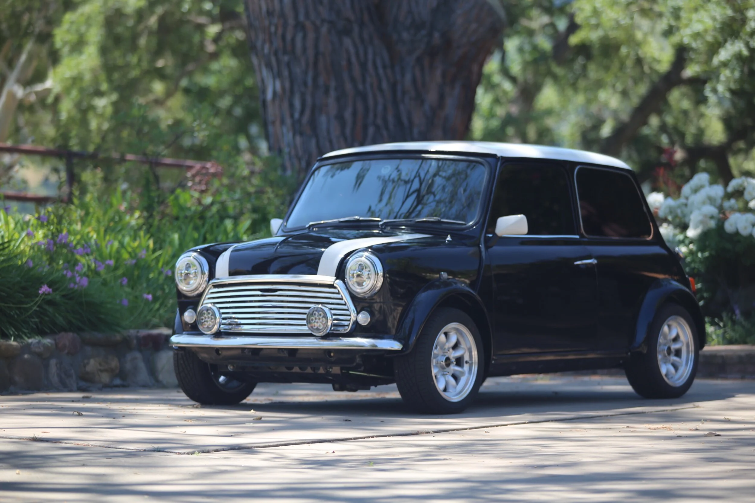 E047D29C-BA1F-4B2D-ABAE-5B5F56EA149A