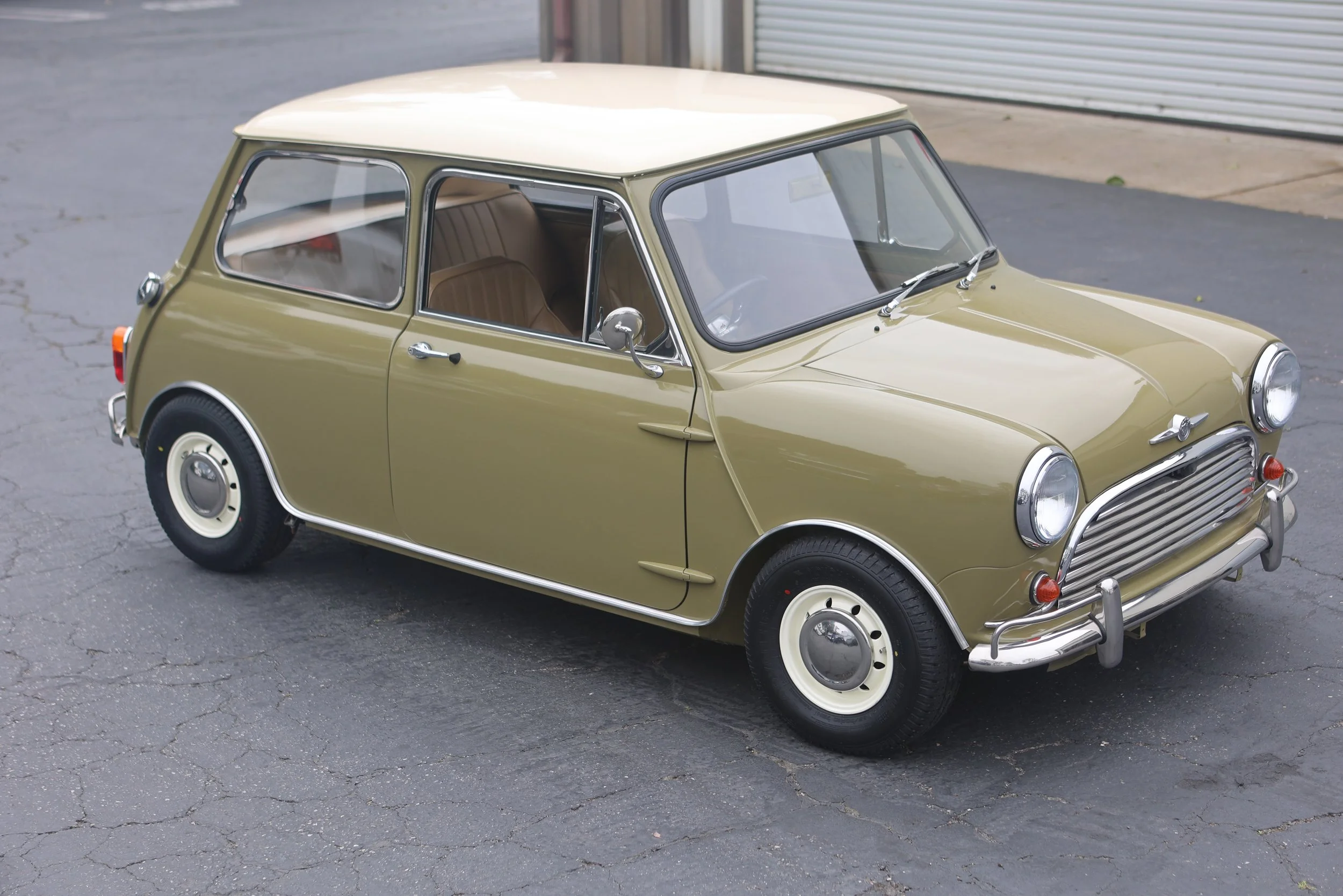 -#88 Pistachio (Brianne?)  - 16 of 31.jpeg