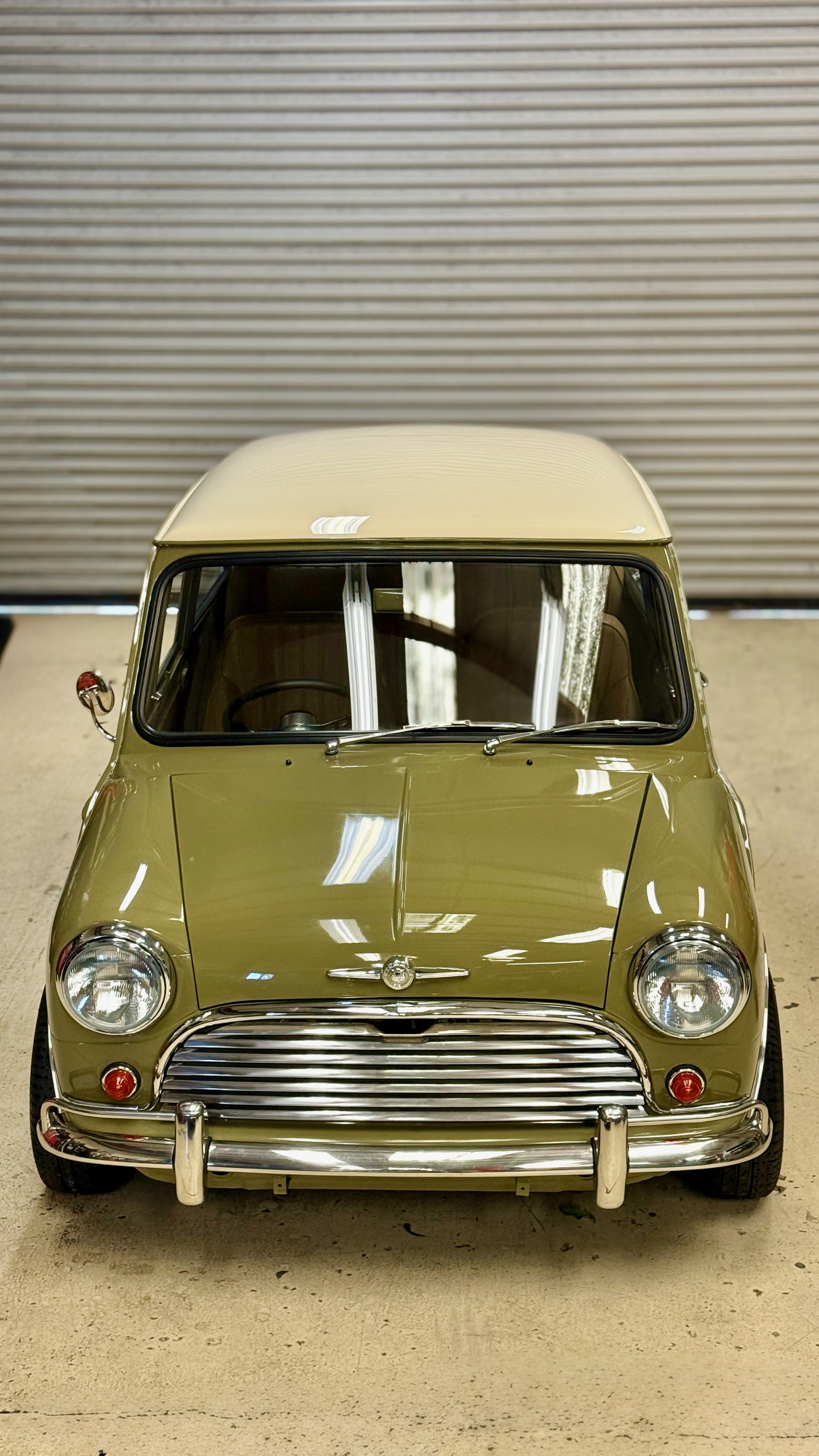 -#88 Pistachio (Brianne?)  - 19 of 32.jpeg