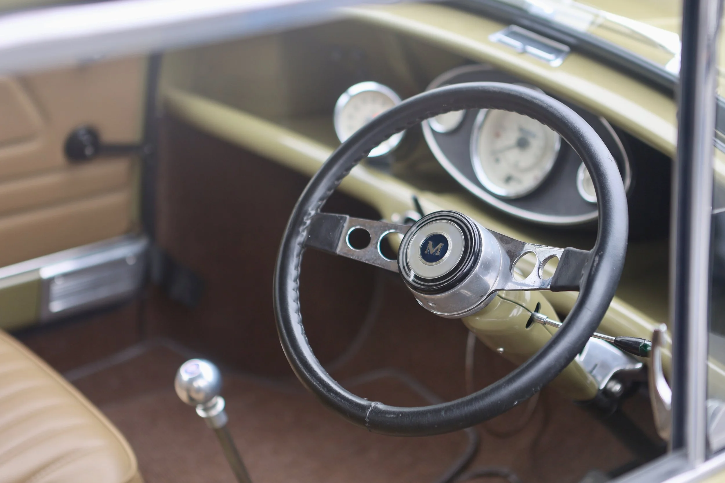 -#88 Pistachio (Brianne?)  - 21 of 31.jpeg