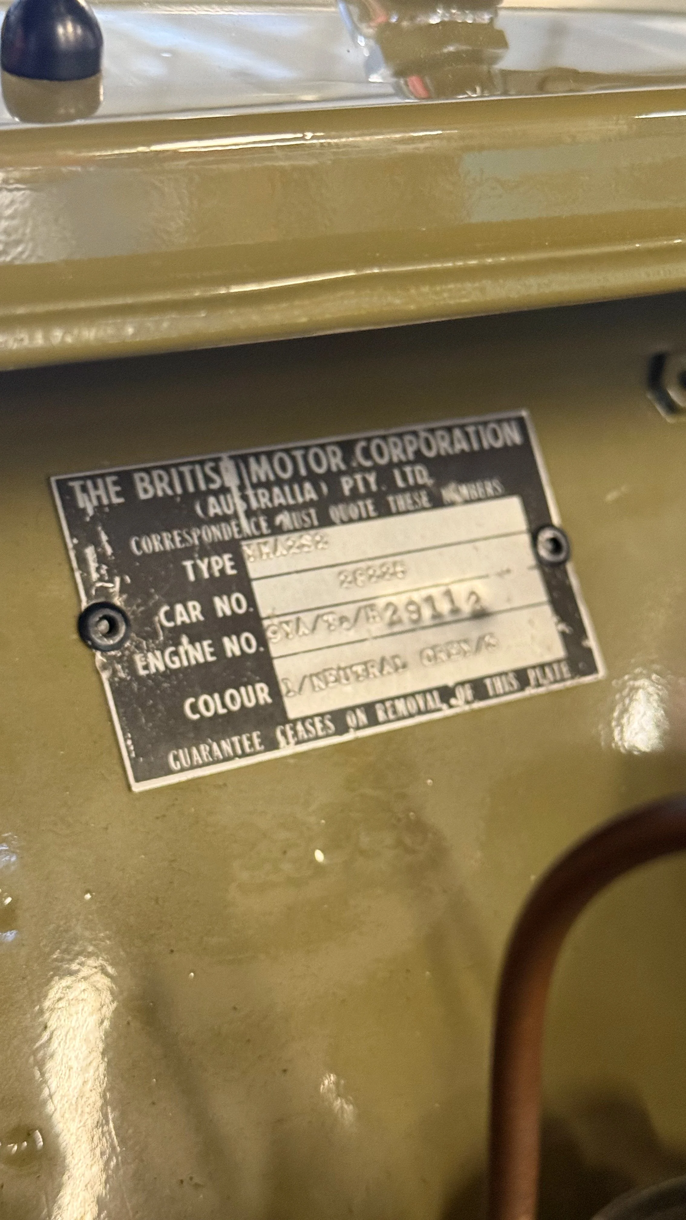 -#88 Pistachio (Brianne?)  - 14 of 32.jpeg