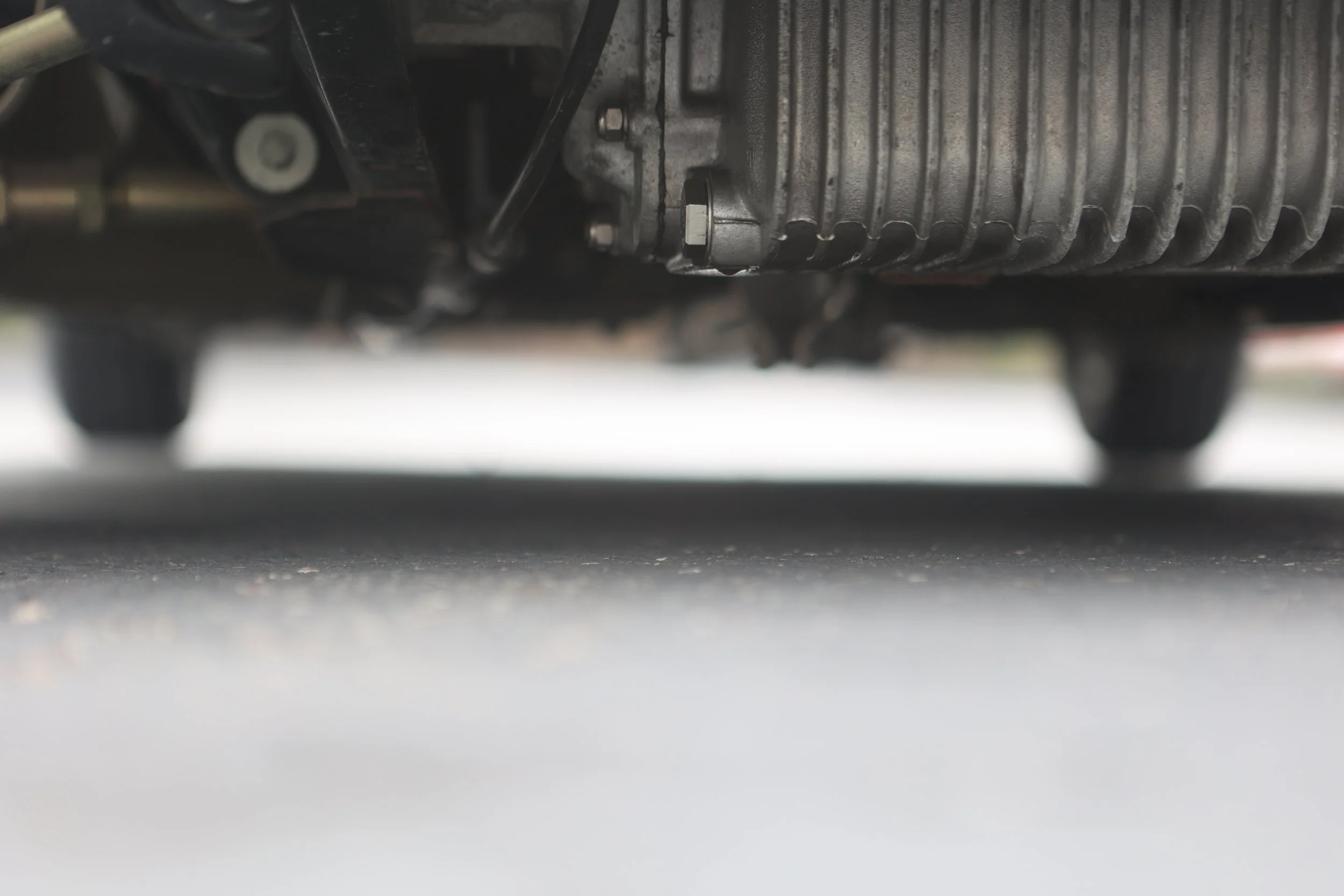 -#88 Pistachio (Brianne?)  - 28 of 31.jpeg