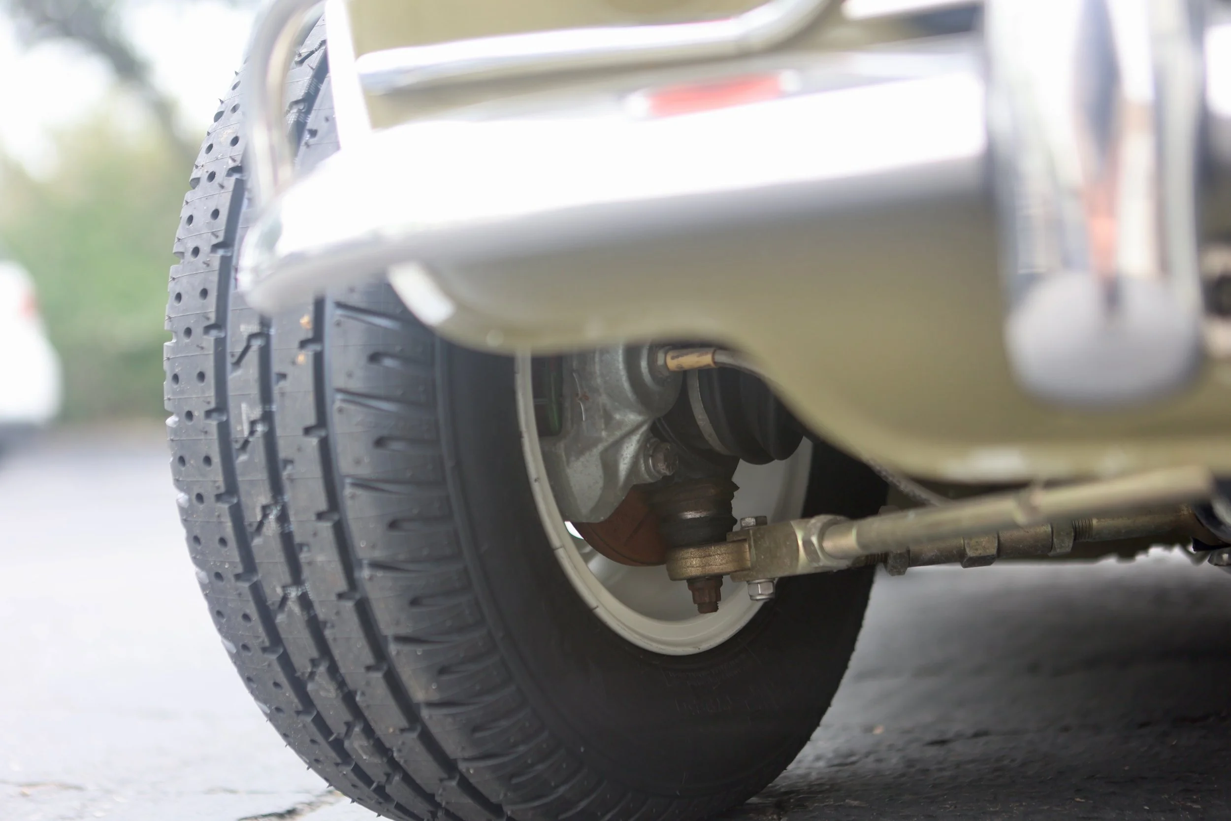 -#88 Pistachio (Brianne?)  - 25 of 31.jpeg