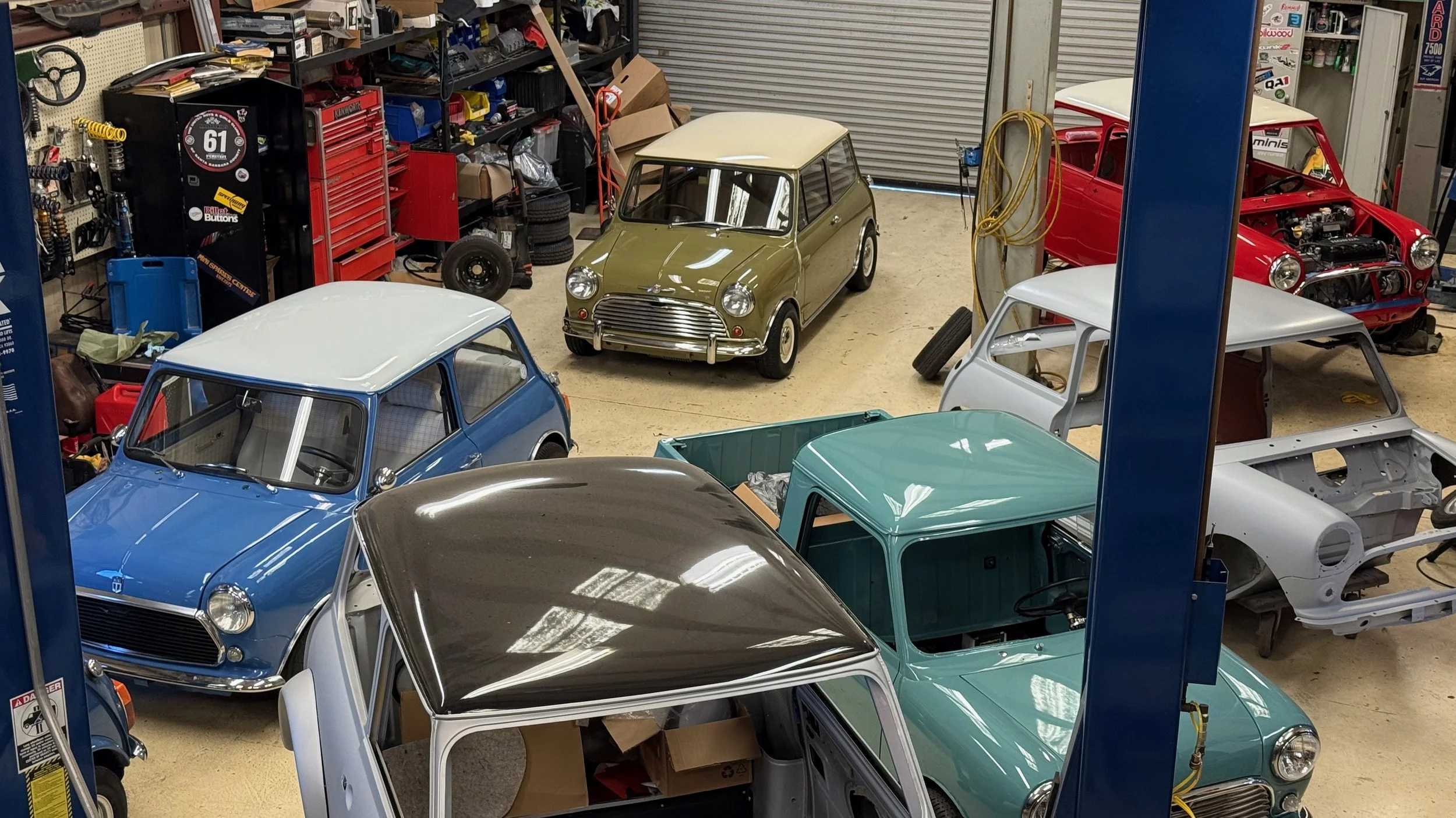 -#88 Pistachio (Brianne?)  - 1 of 7.jpeg