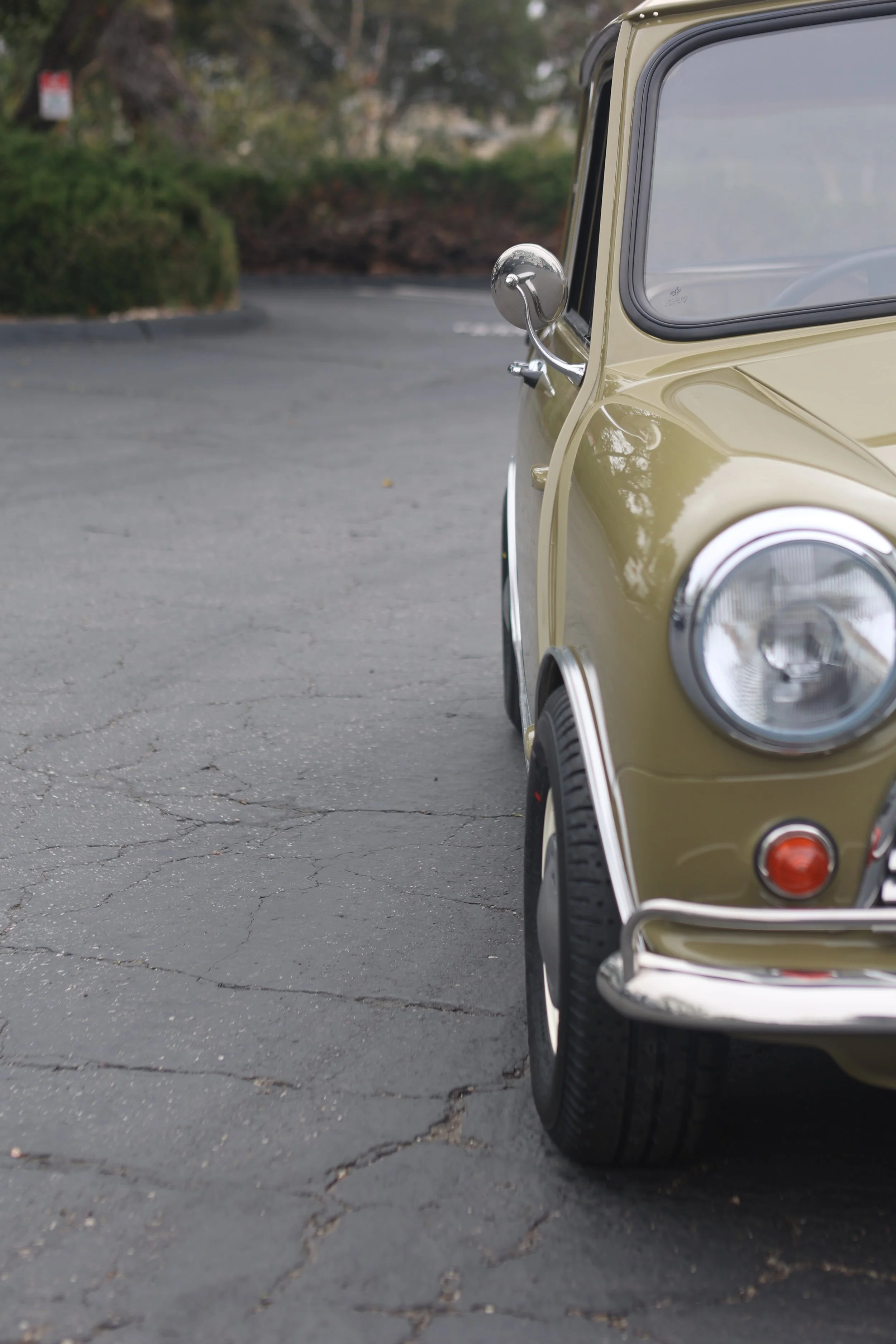 -#88 Pistachio (Brianne?)  - 19 of 31.jpeg