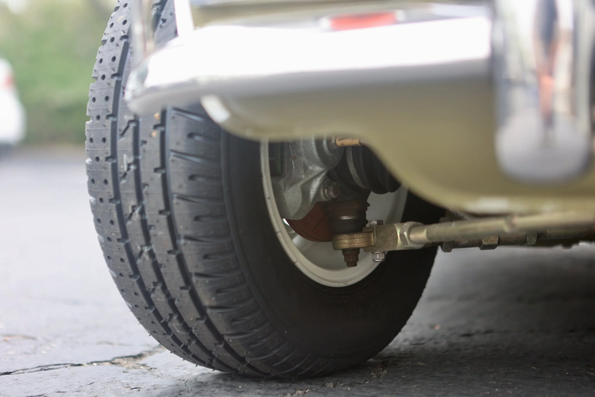 -#88 Pistachio (Brianne?)  - 29 of 31.jpeg