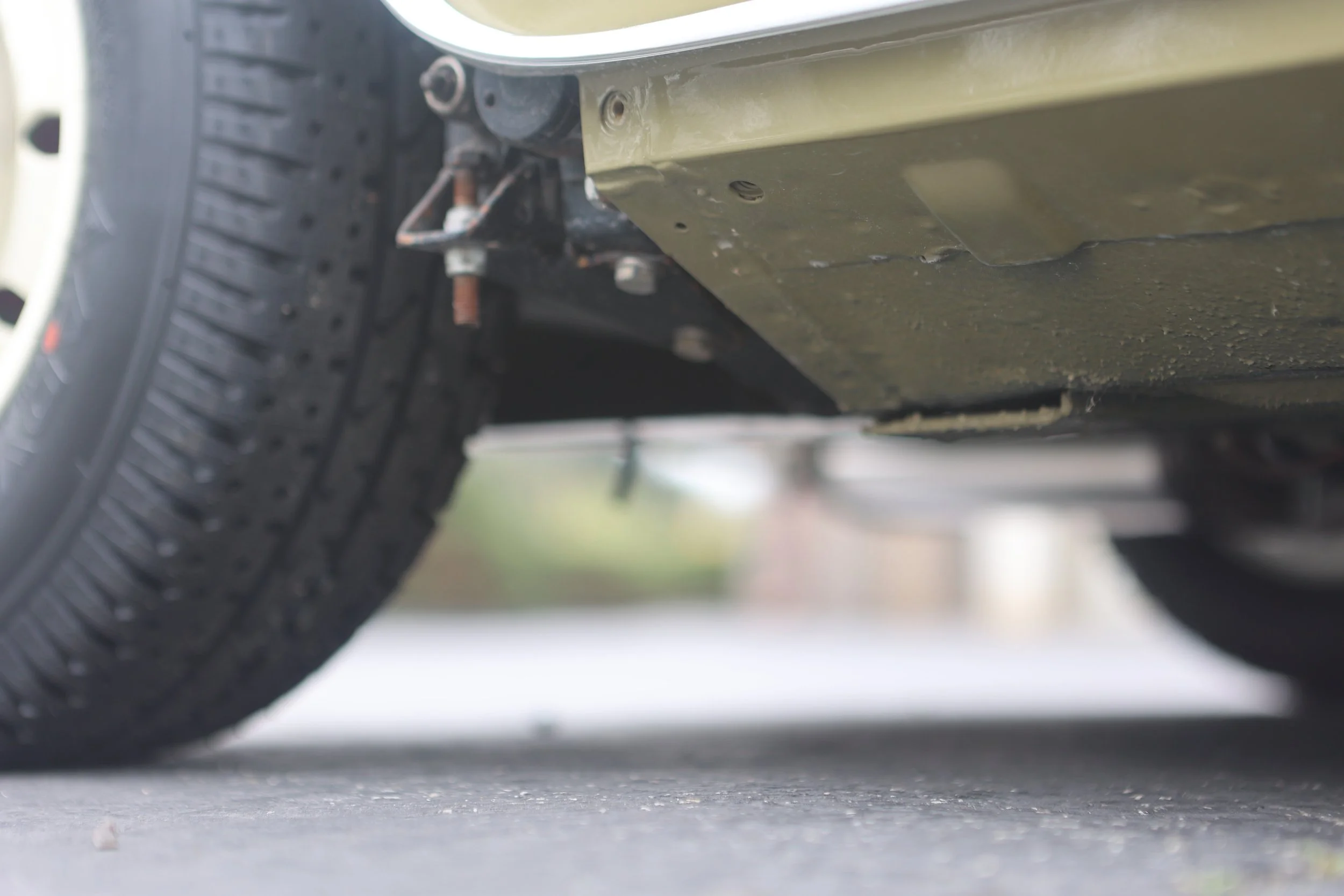 -#88 Pistachio (Brianne?)  - 31 of 31.jpeg