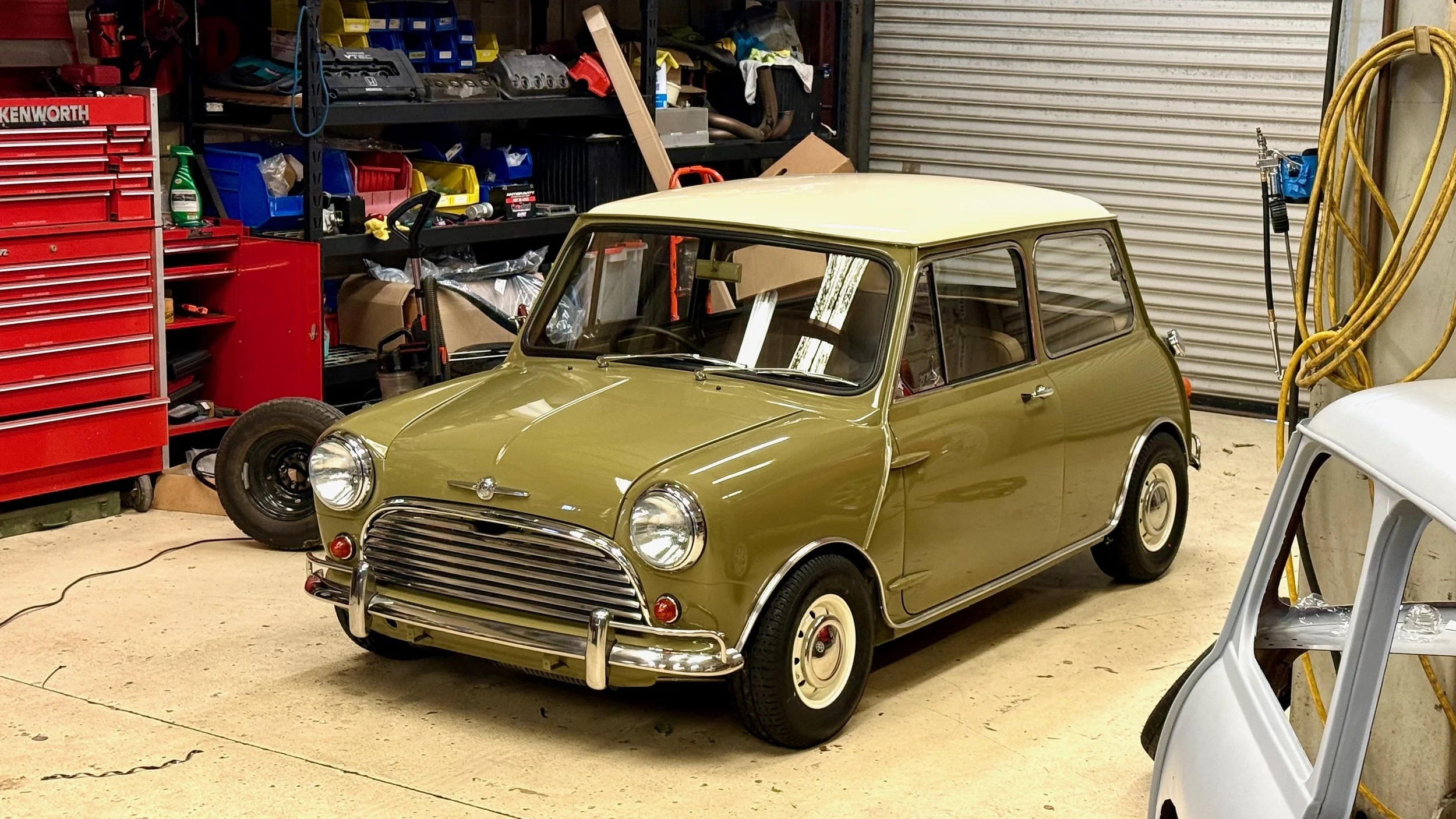 -#88 Pistachio (Brianne?)  - 21 of 32.jpeg