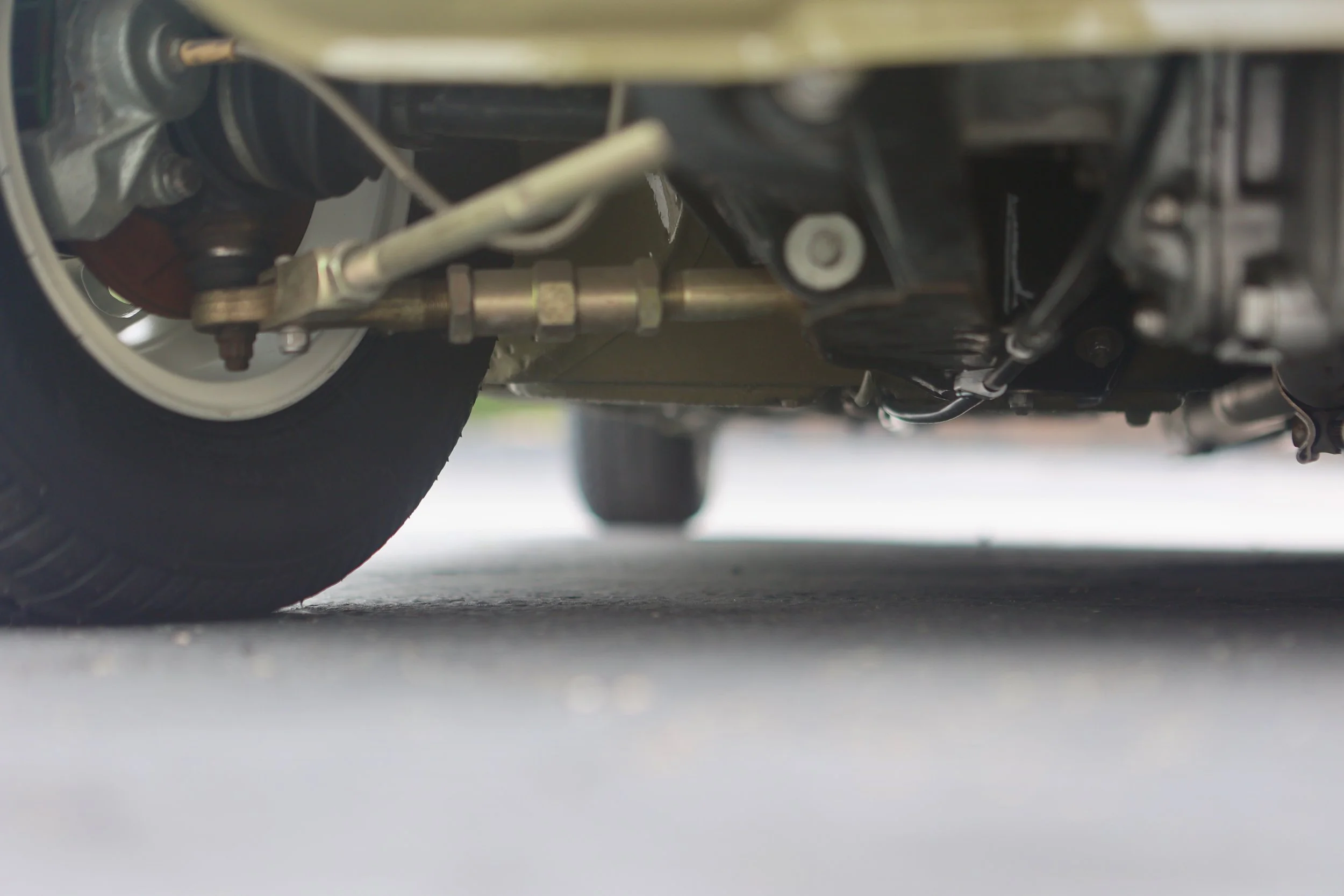 -#88 Pistachio (Brianne?)  - 27 of 31.jpeg