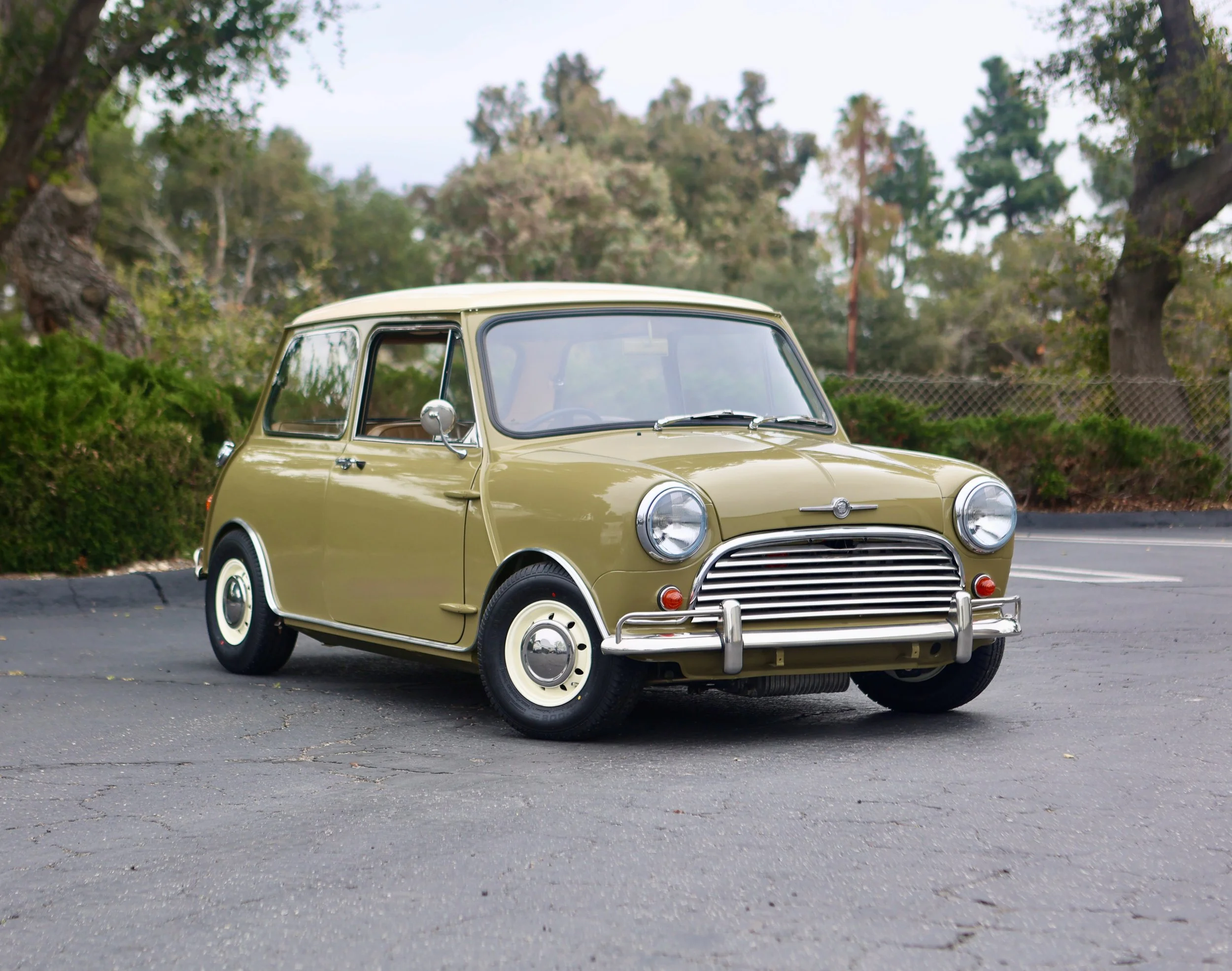 -#88 Pistachio (Brianne?)  - 4 of 31.jpeg