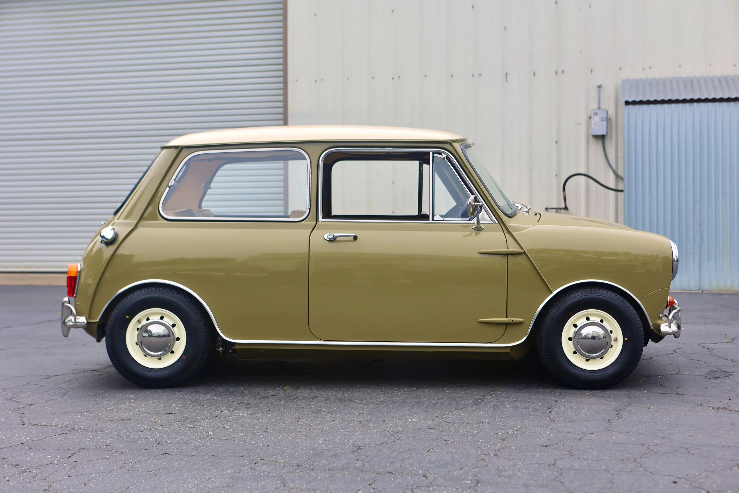 -#88 Pistachio (Brianne?)  - 14 of 31.jpeg