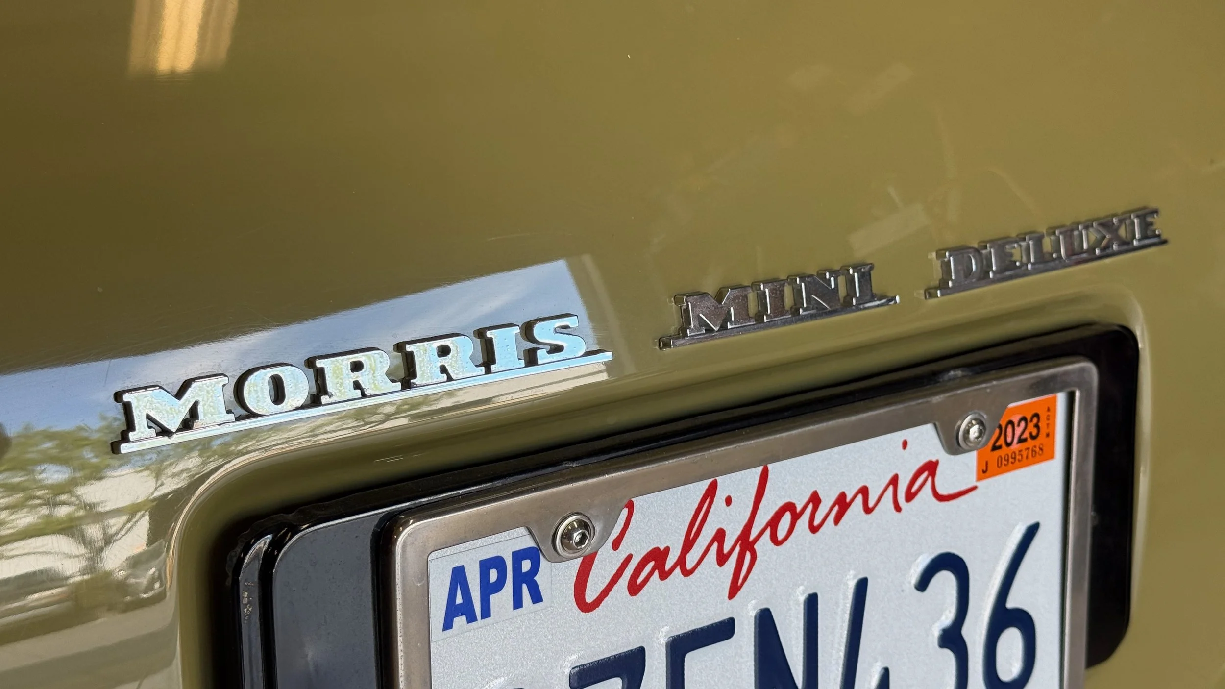 -#88 Pistachio (Brianne?)  - 24 of 32.jpeg