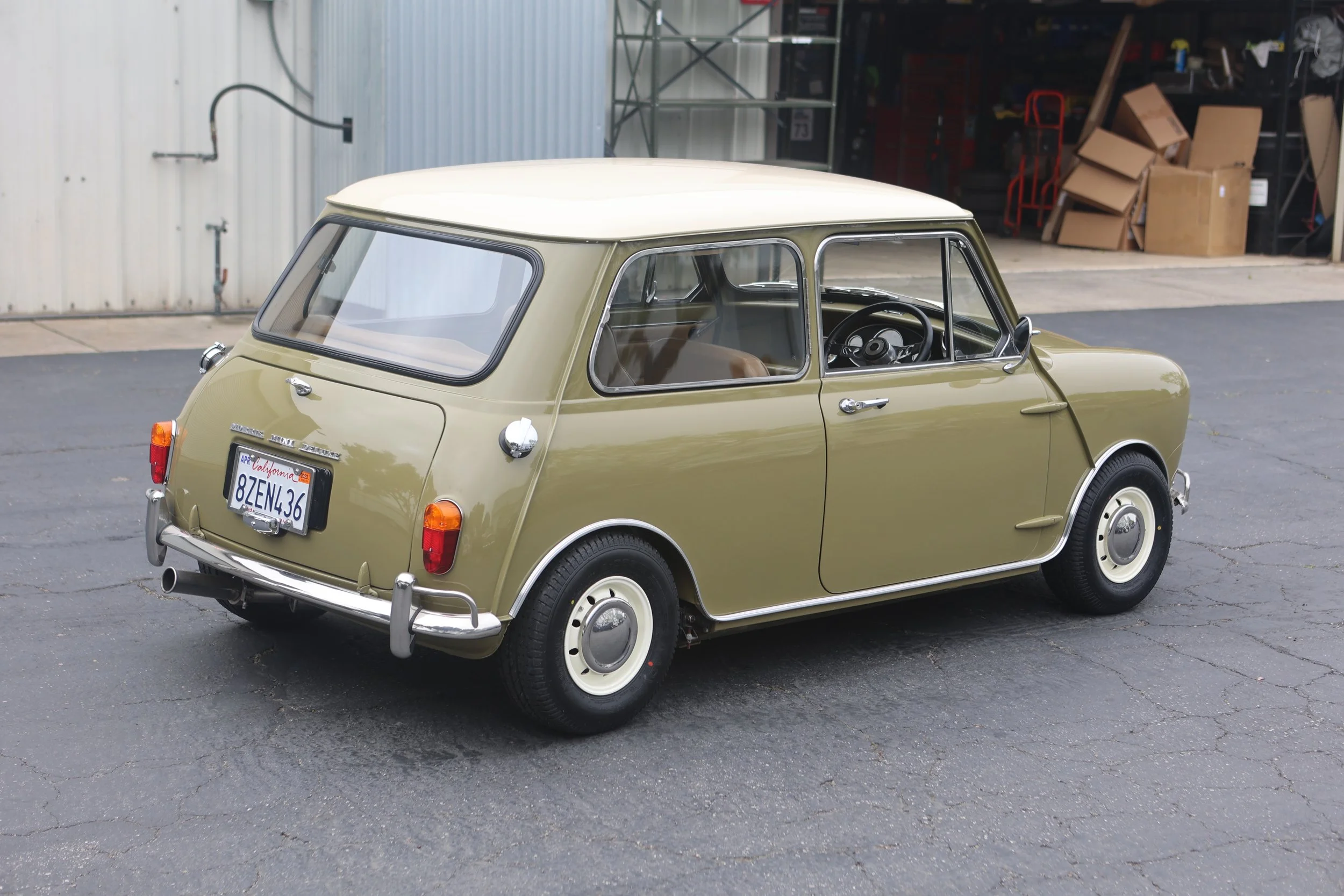 -#88 Pistachio (Brianne?)  - 13 of 31.jpeg