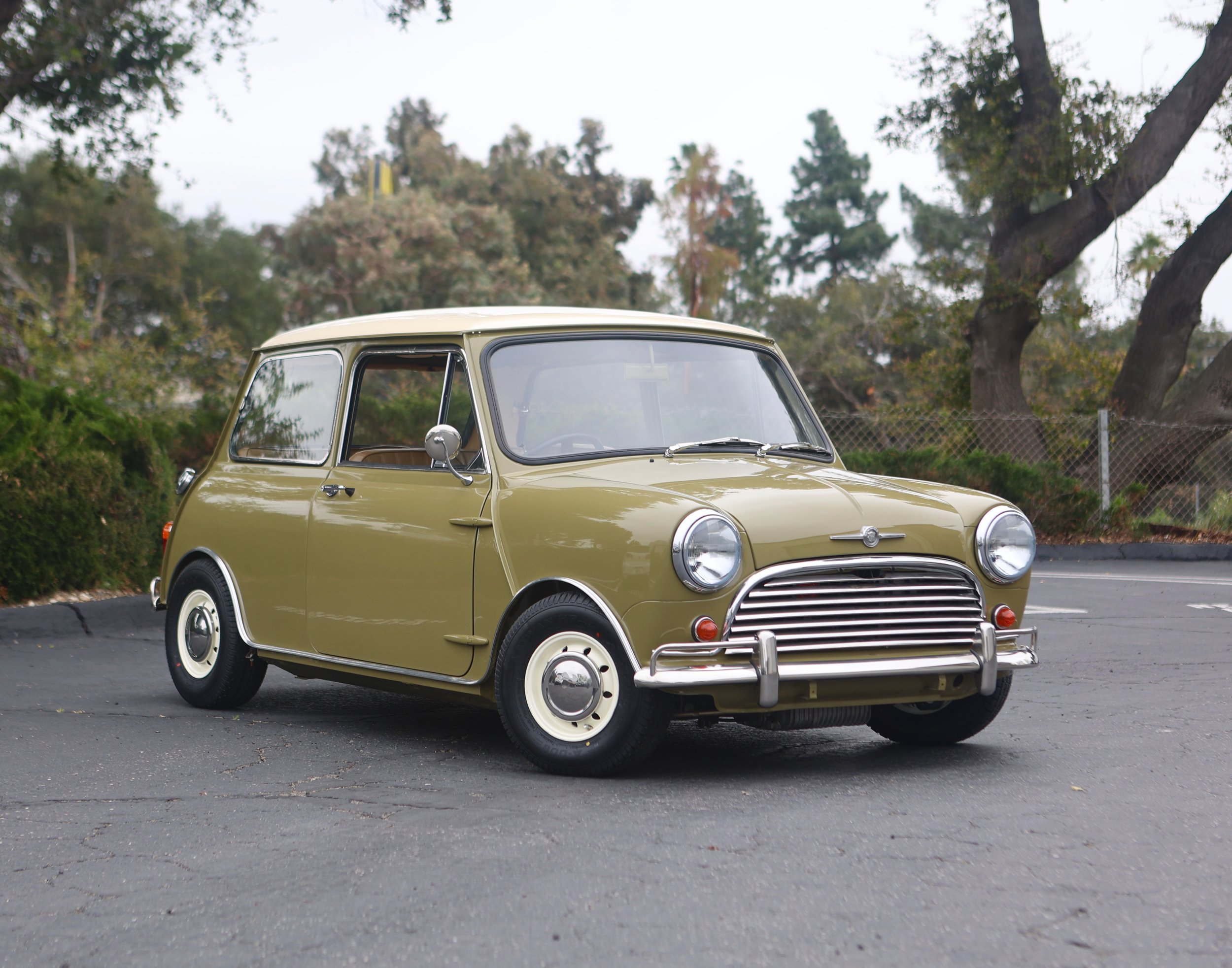 -#88 Pistachio (Brianne?)  - 5 of 31.jpeg